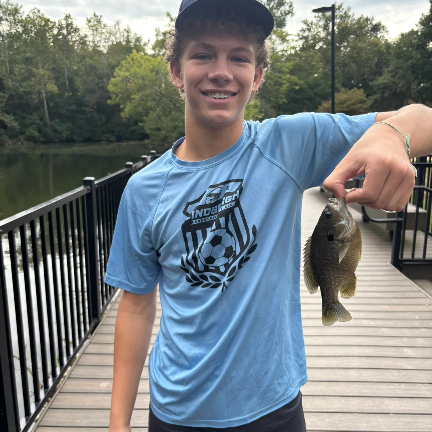 Greengill hybrid caught on Fishbrain