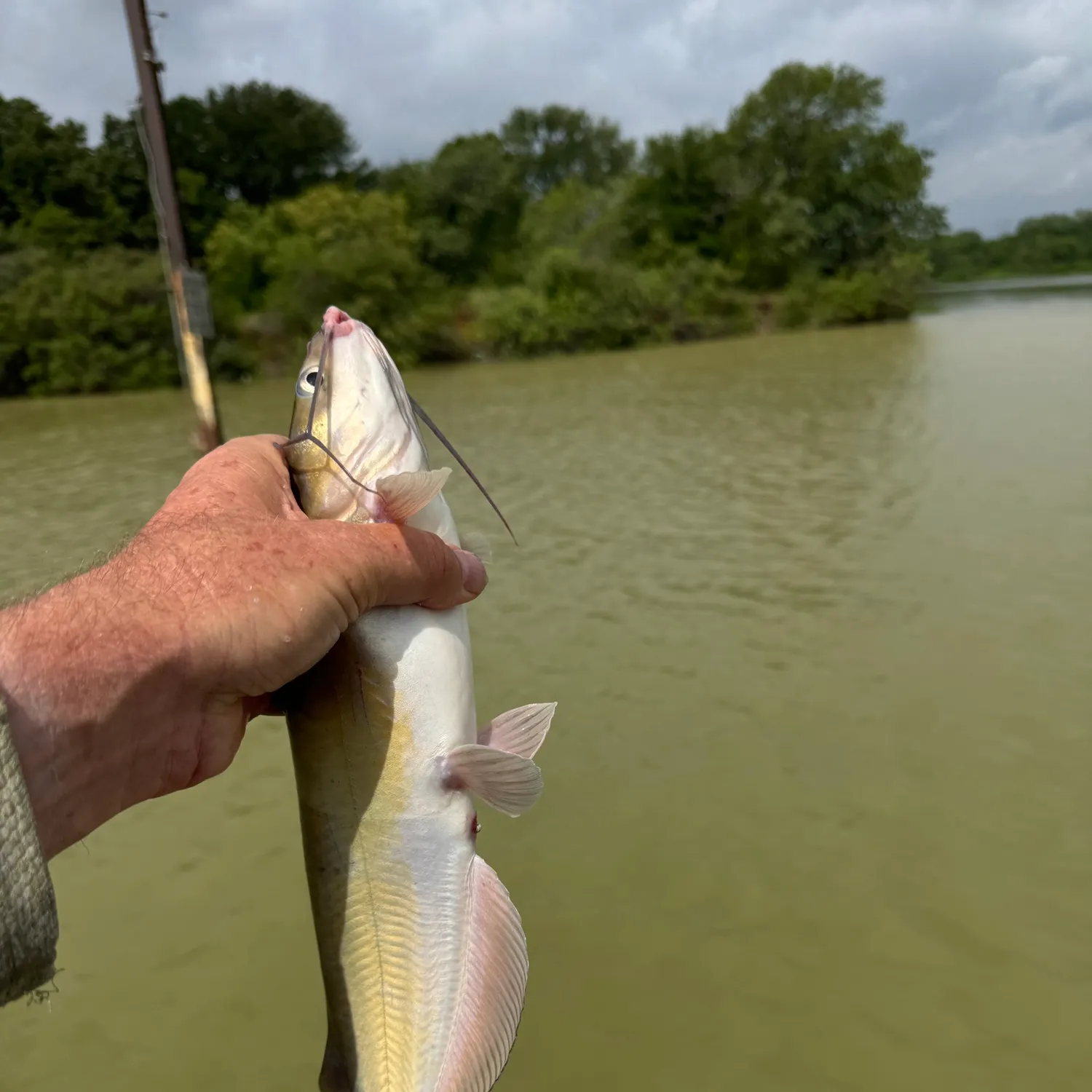Fishing in Grand Prairie, TX (United States)  Find Spots, Species &  Tips