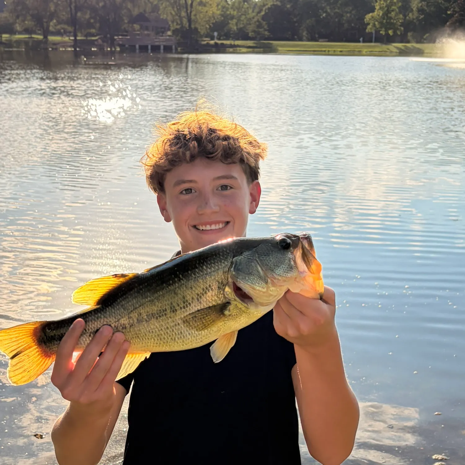 Largemouth bass caught on Fishbrain