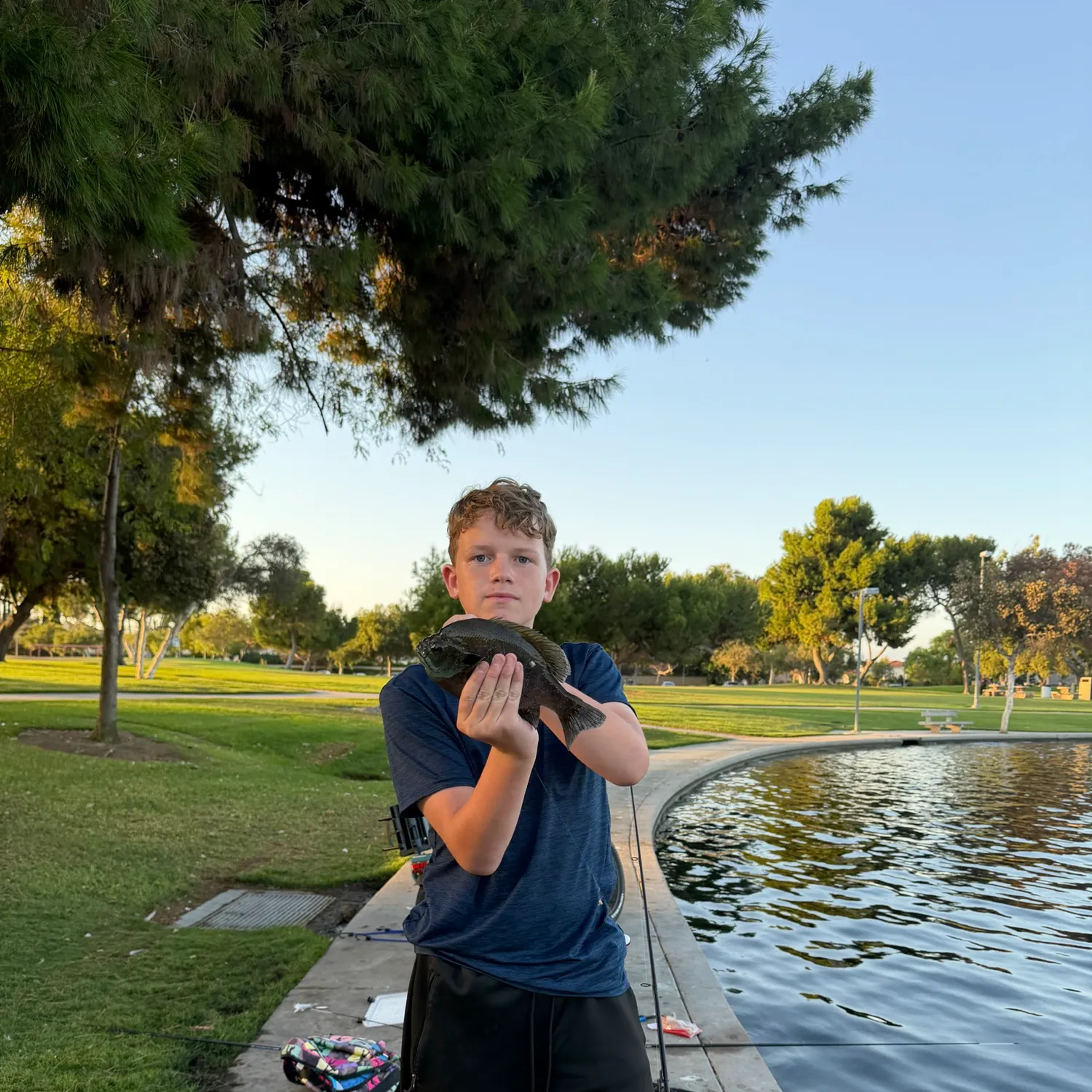 Bluegill caught on Fishbrain