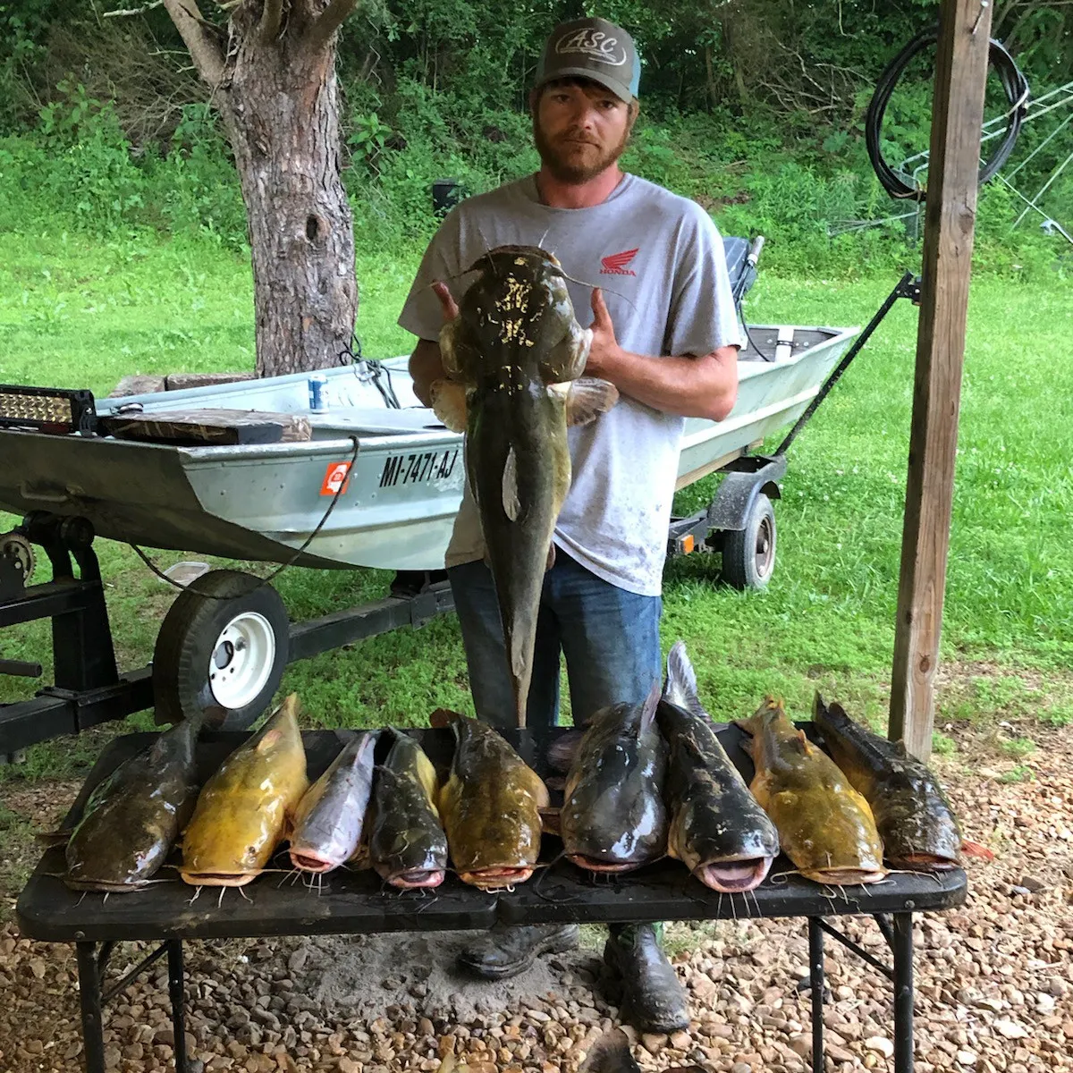 recently logged catches