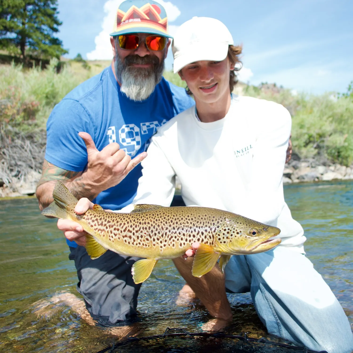 Brown trout caught on Fishbrain