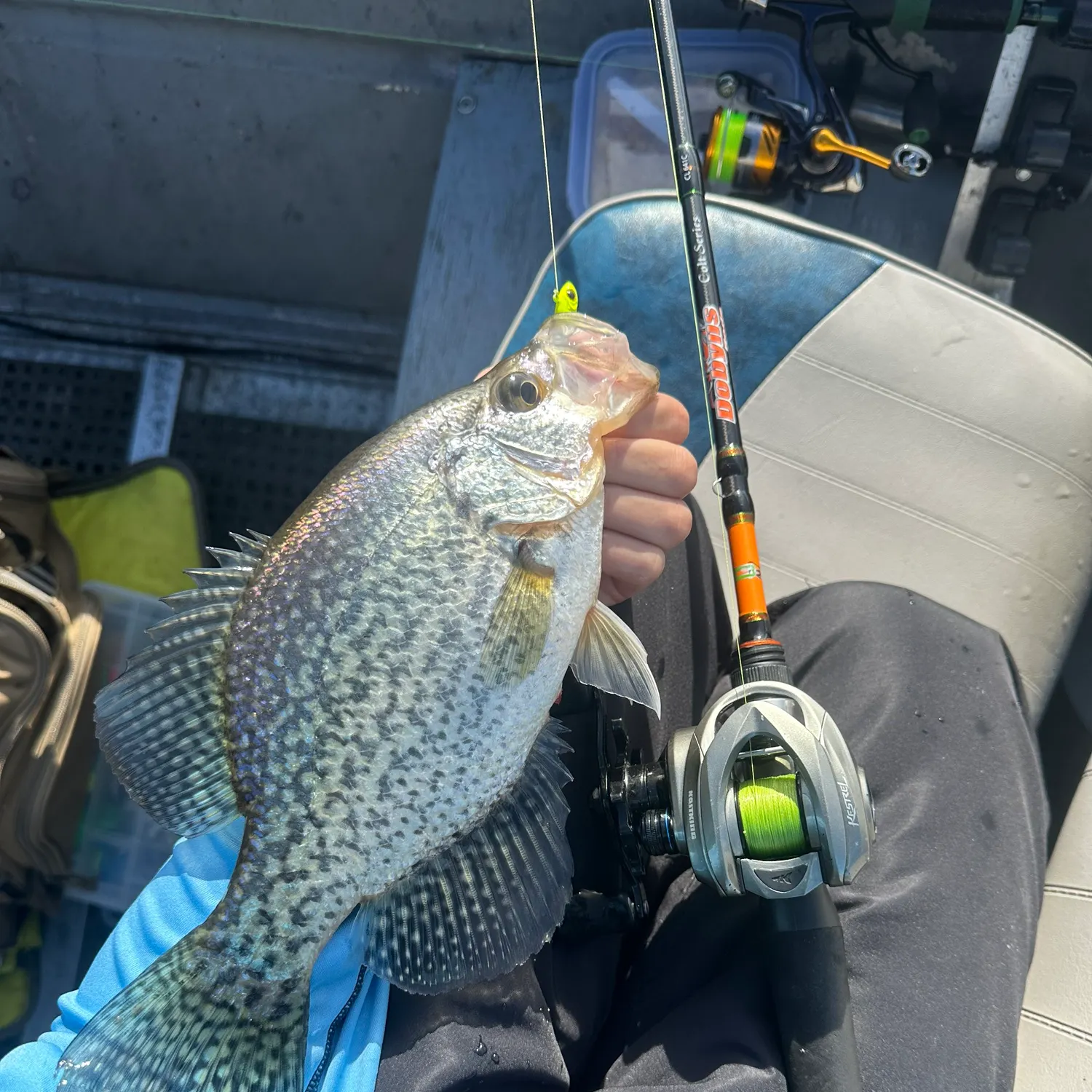 The most recent Black crappie catches on Fishbrain