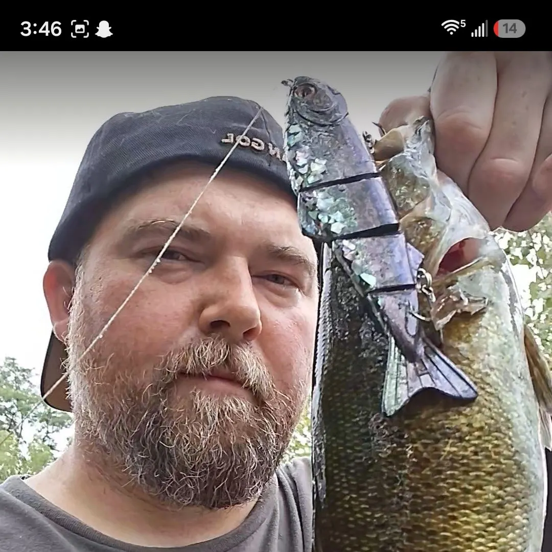 Smallmouth bass caught on Fishbrain