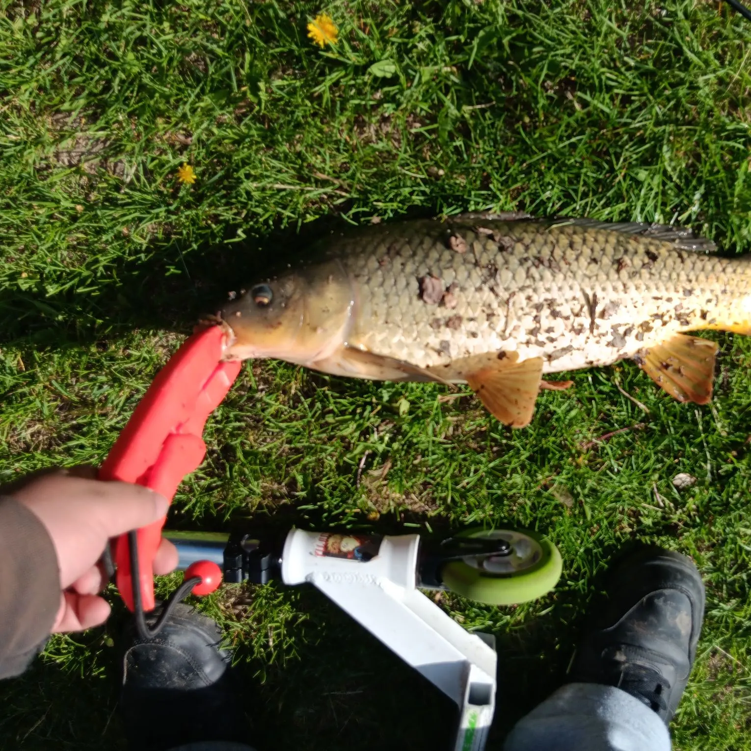 catch