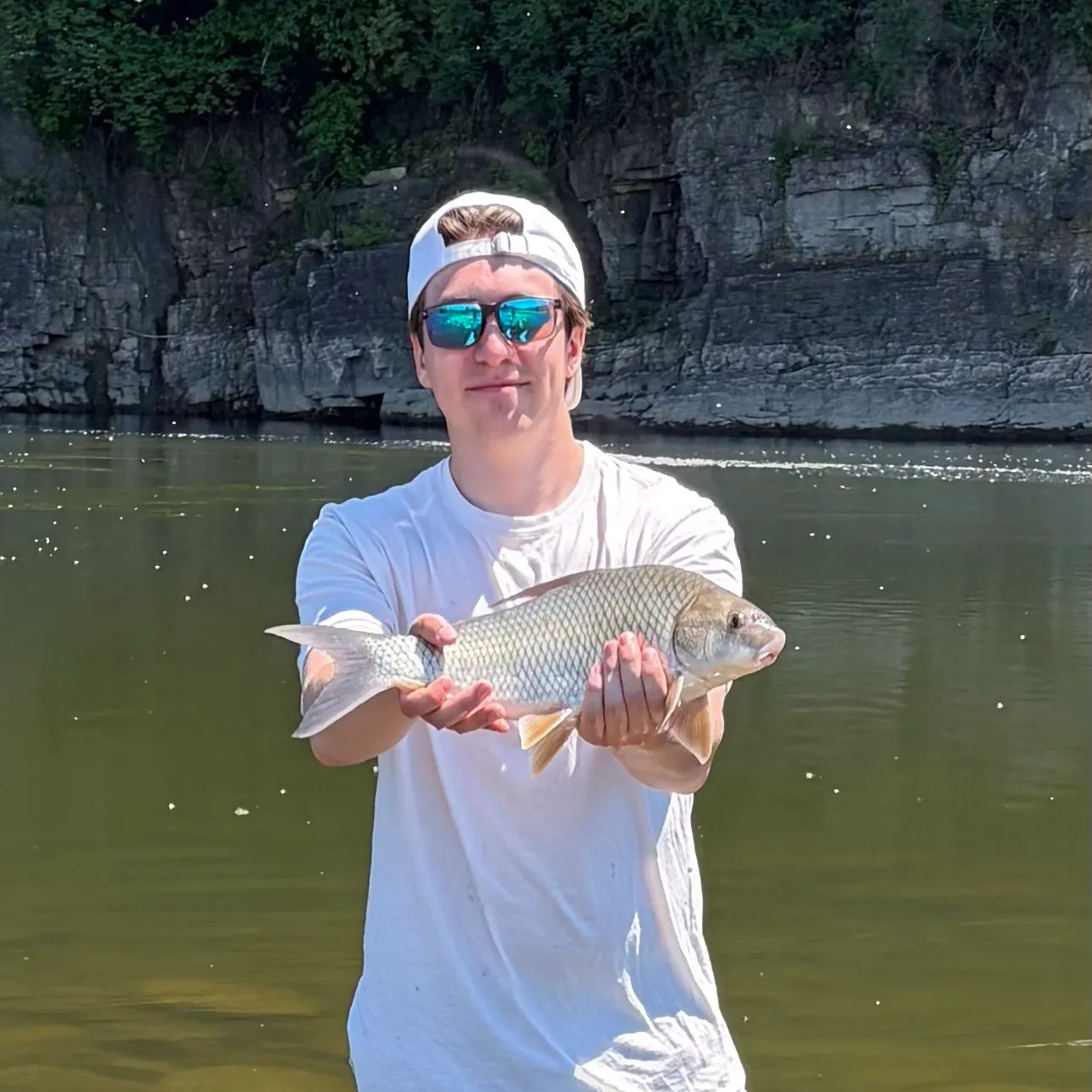 The most recent Quillback catches on Fishbrain