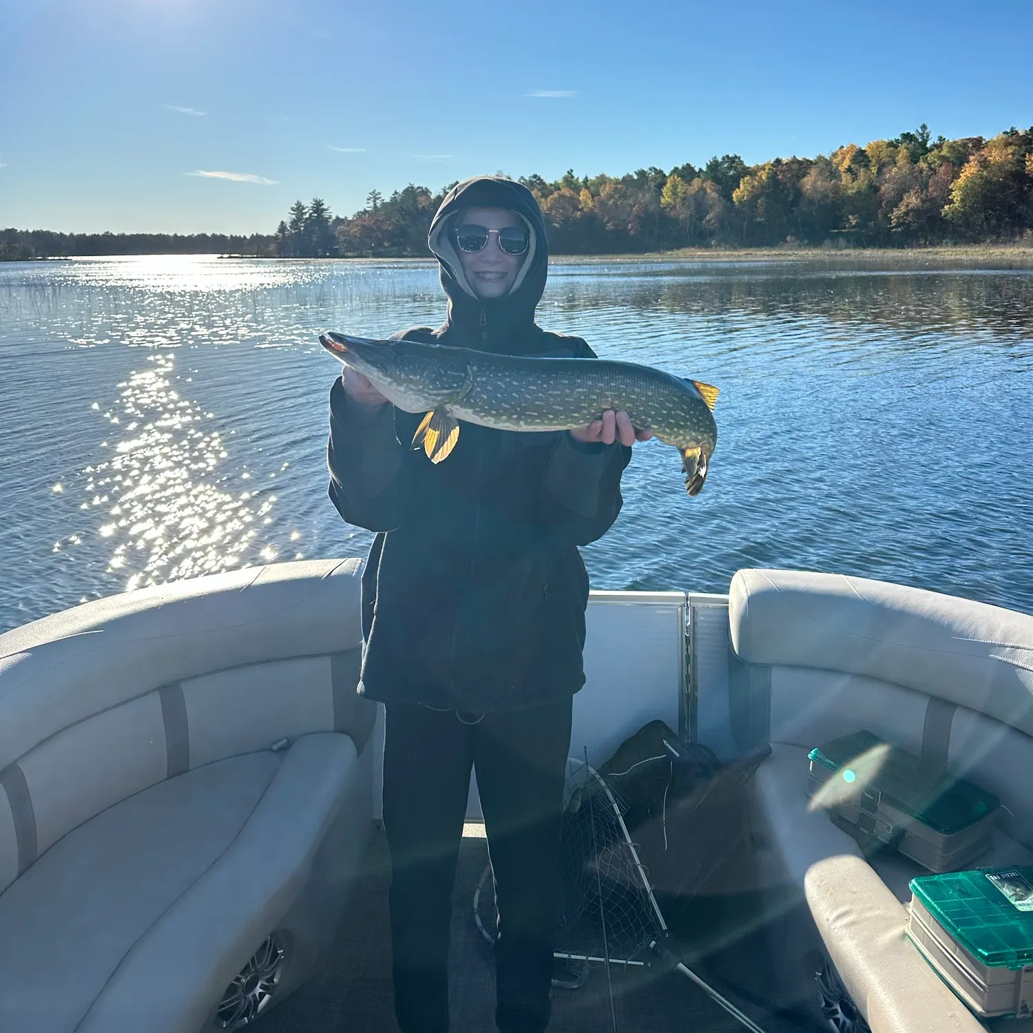 Northern pike caught on Fishbrain