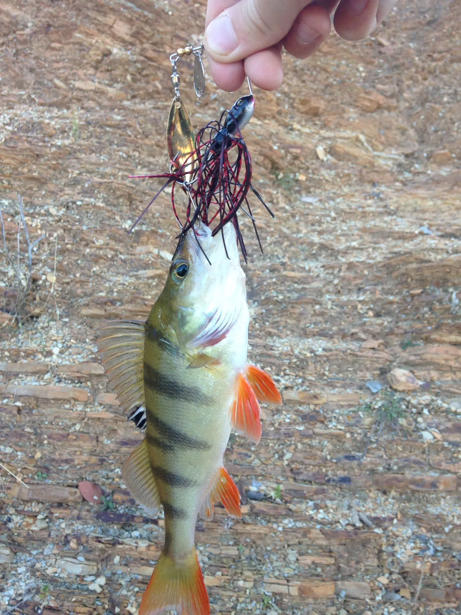 Post image from twebber7903