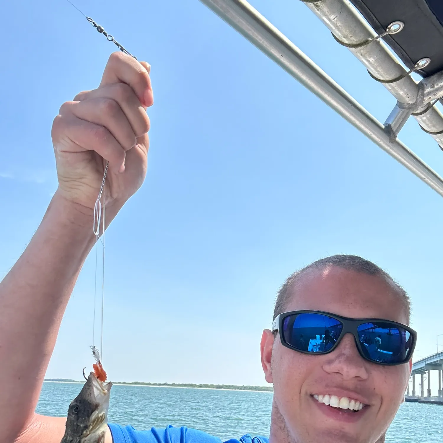 The most recent Striped searobin catches on Fishbrain