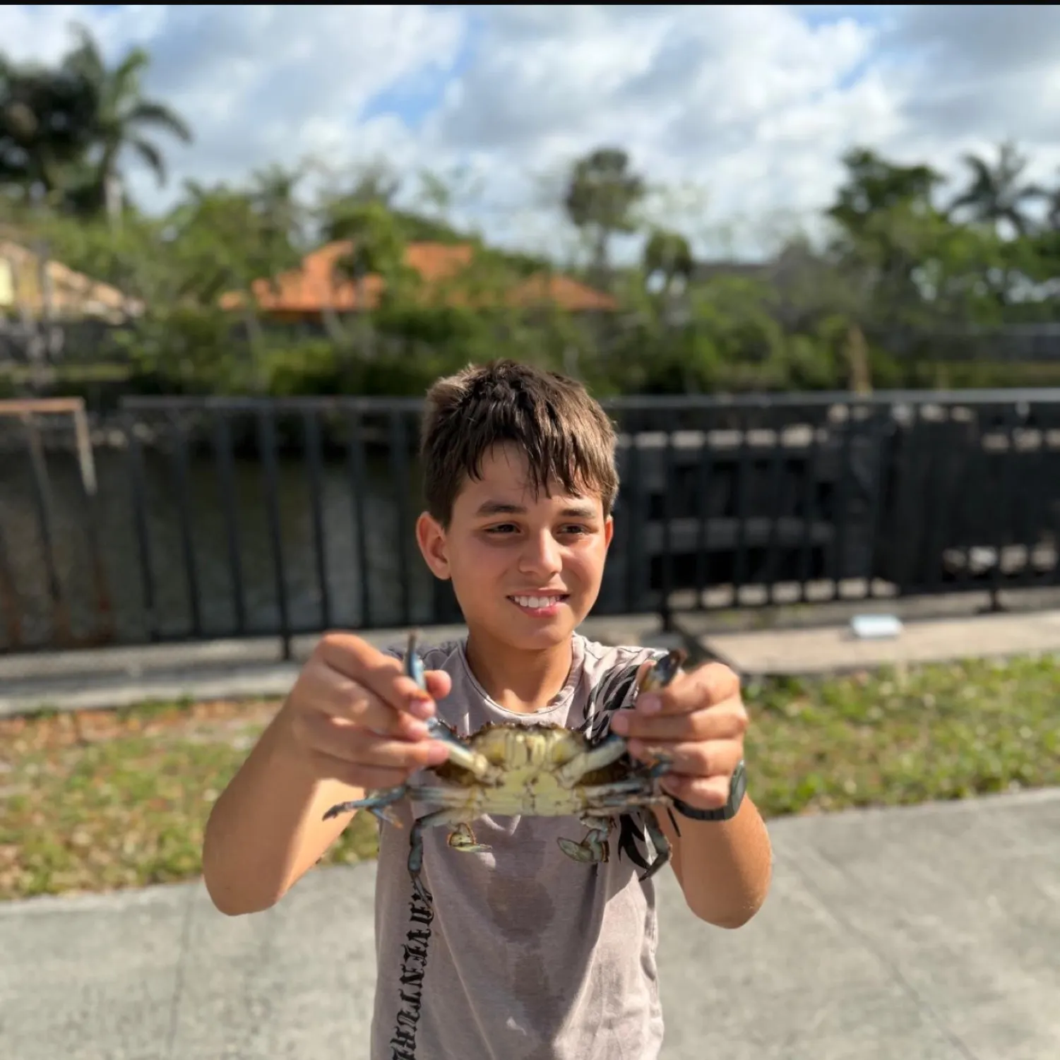 The most popular recent Blue crab catch on Fishbrain