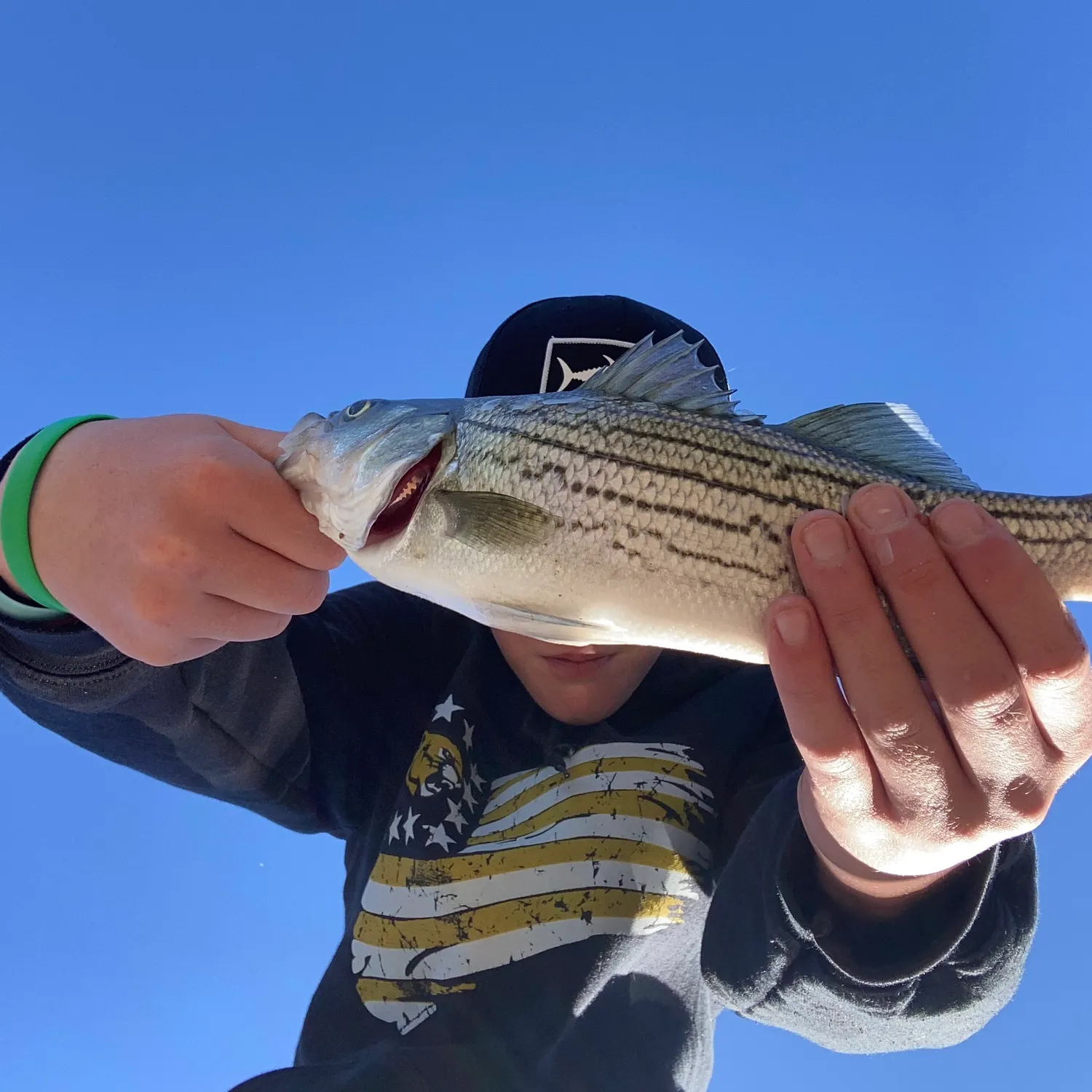 Wiper caught on Fishbrain