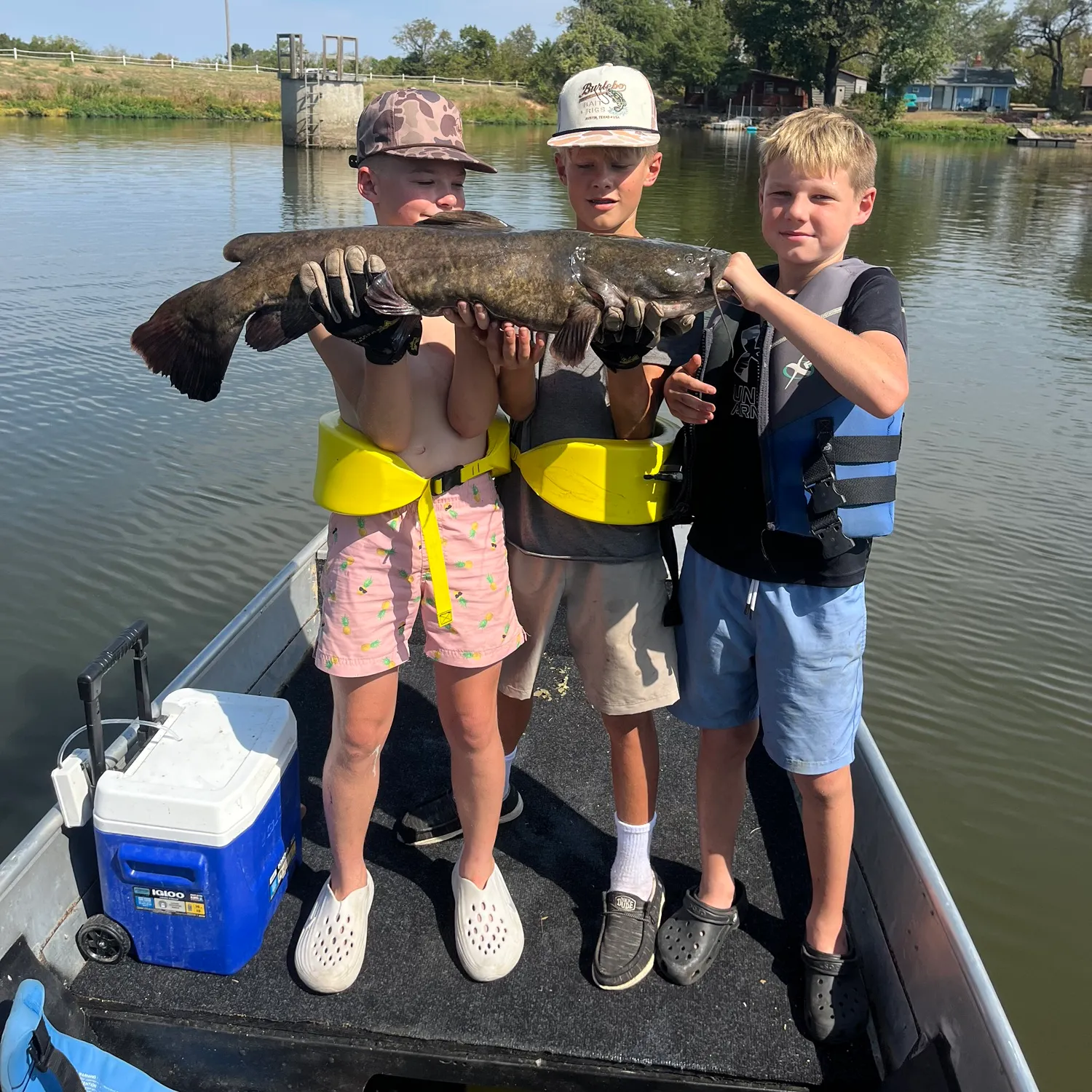 Flathead catfish caught on Fishbrain