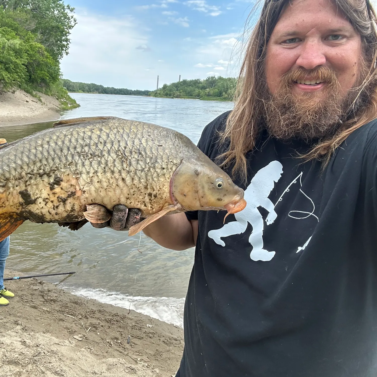 Common carp caught on Fishbrain