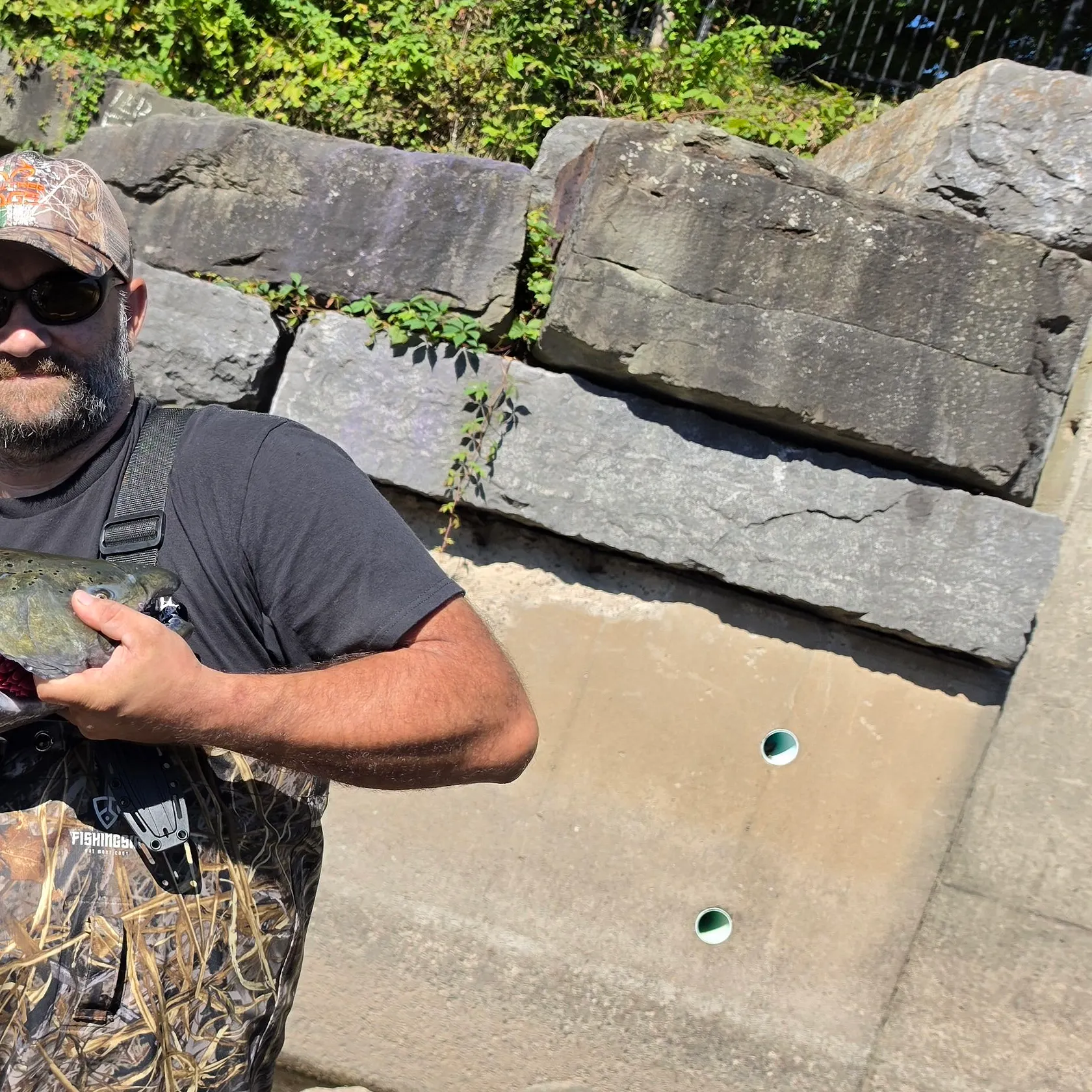 Fish caught on Fishbrain