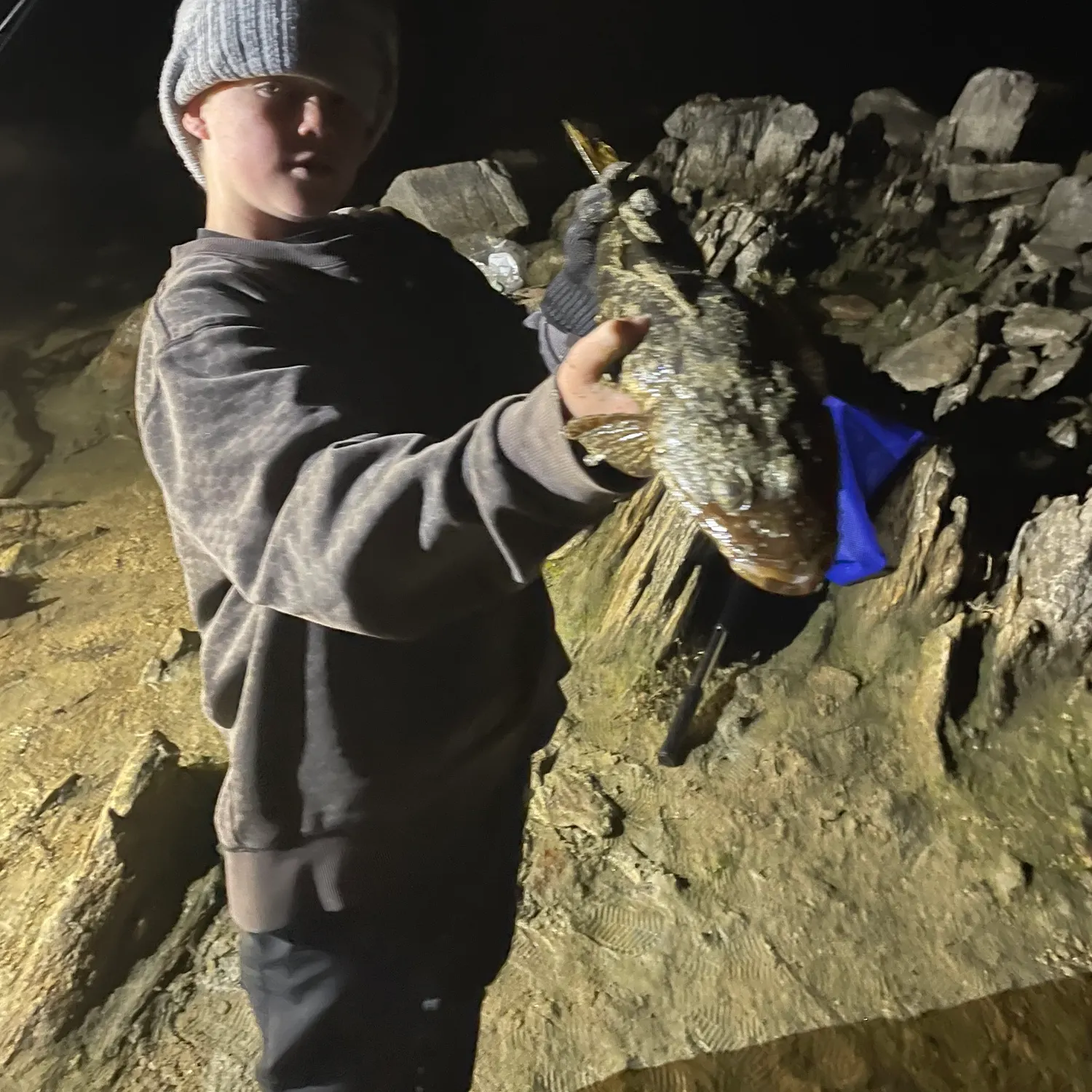 Blue-spotted flathead caught on Fishbrain