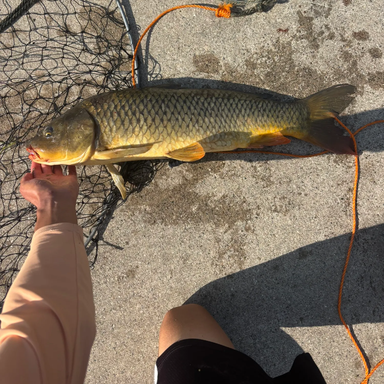 catch