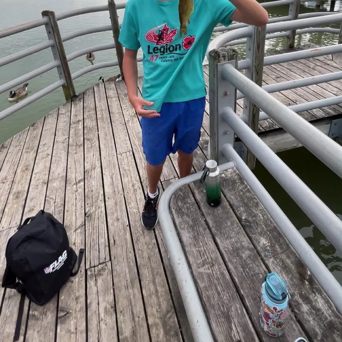 The most recent Prussian carp catches on Fishbrain