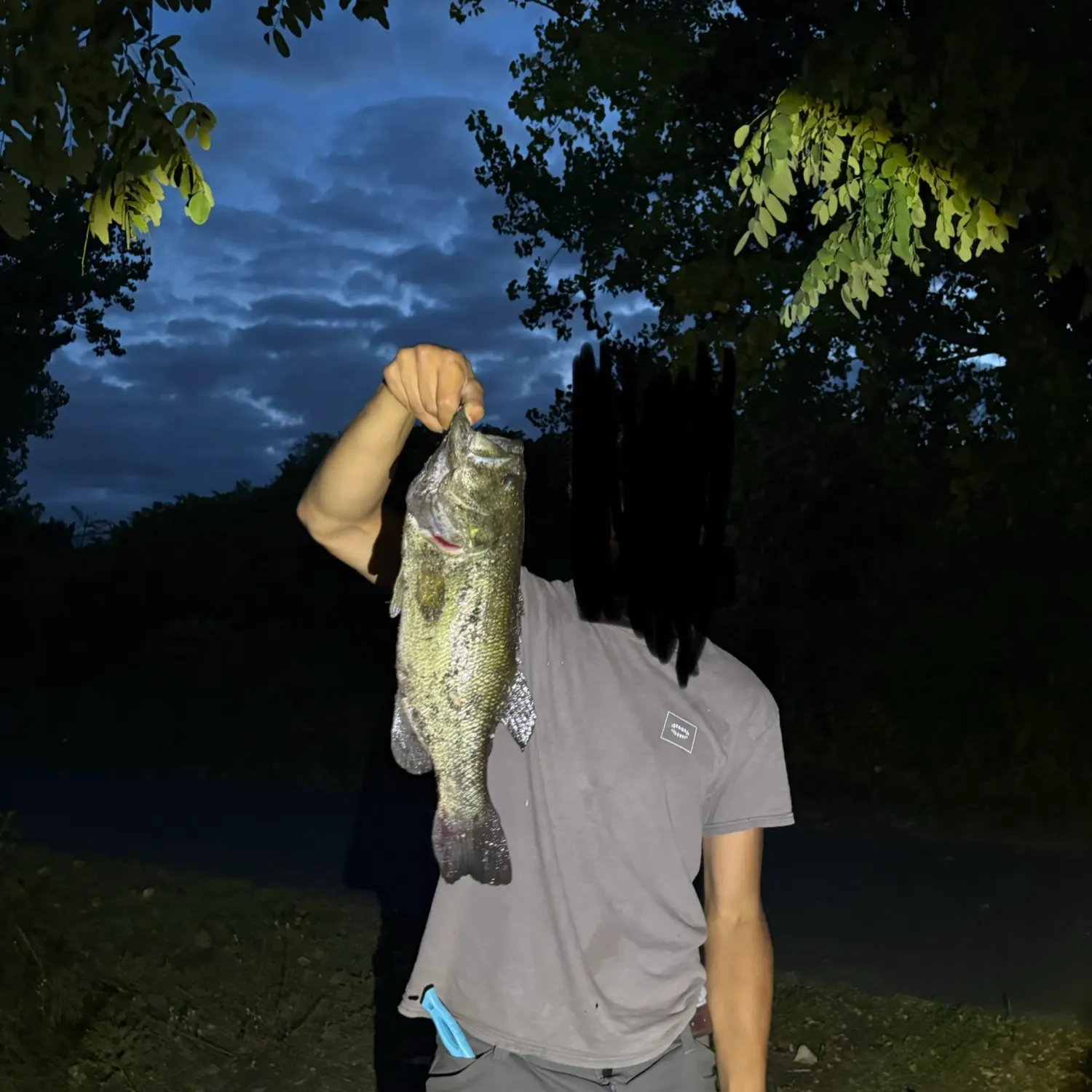 Largemouth bass caught on Fishbrain