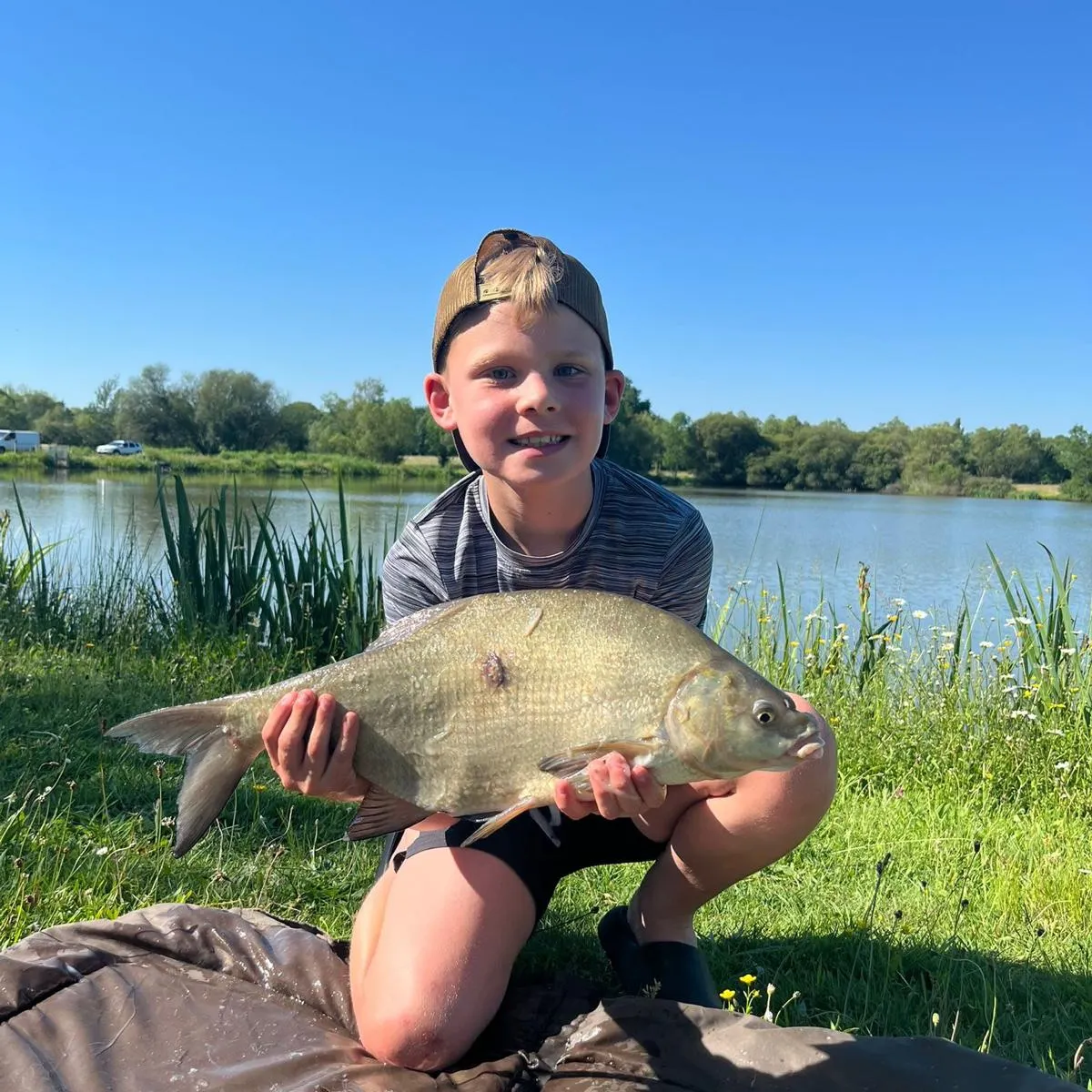 Common bream caught on Fishbrain