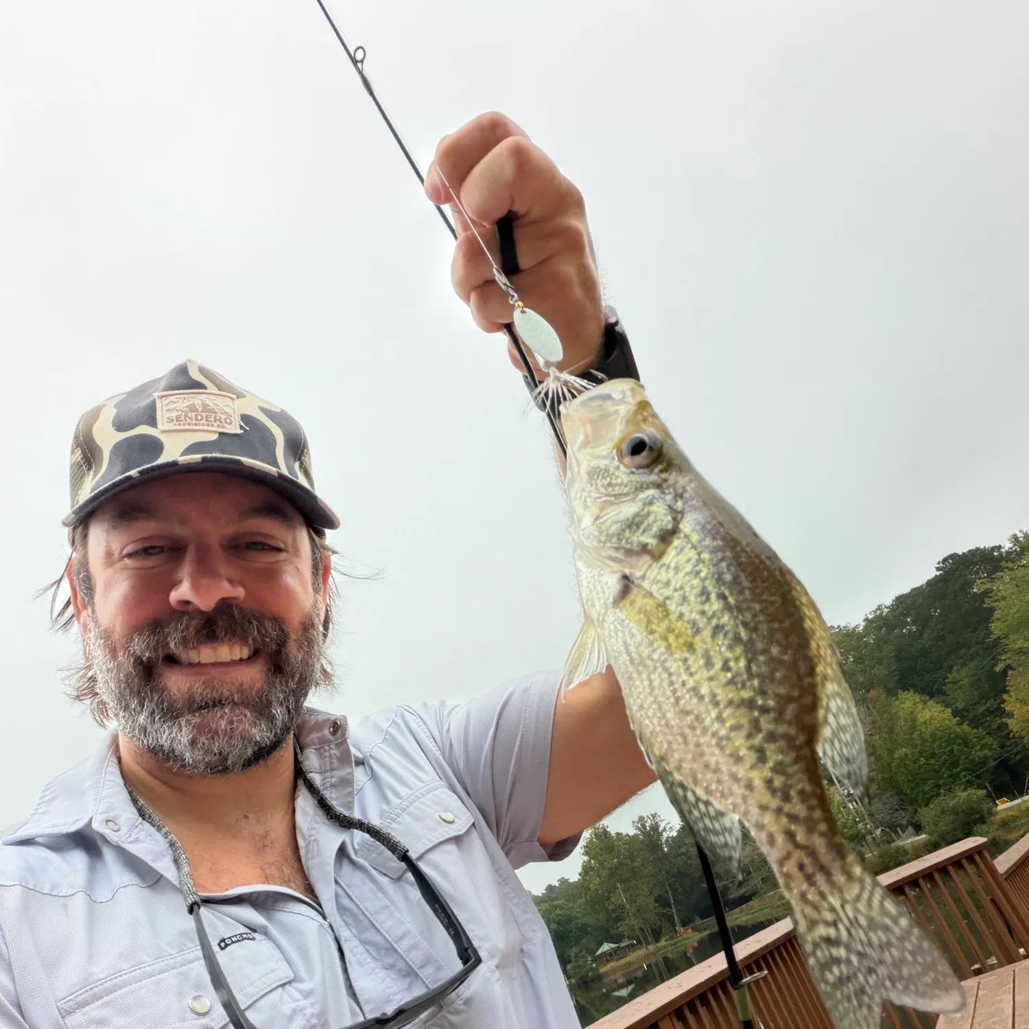 Black crappie caught on Fishbrain