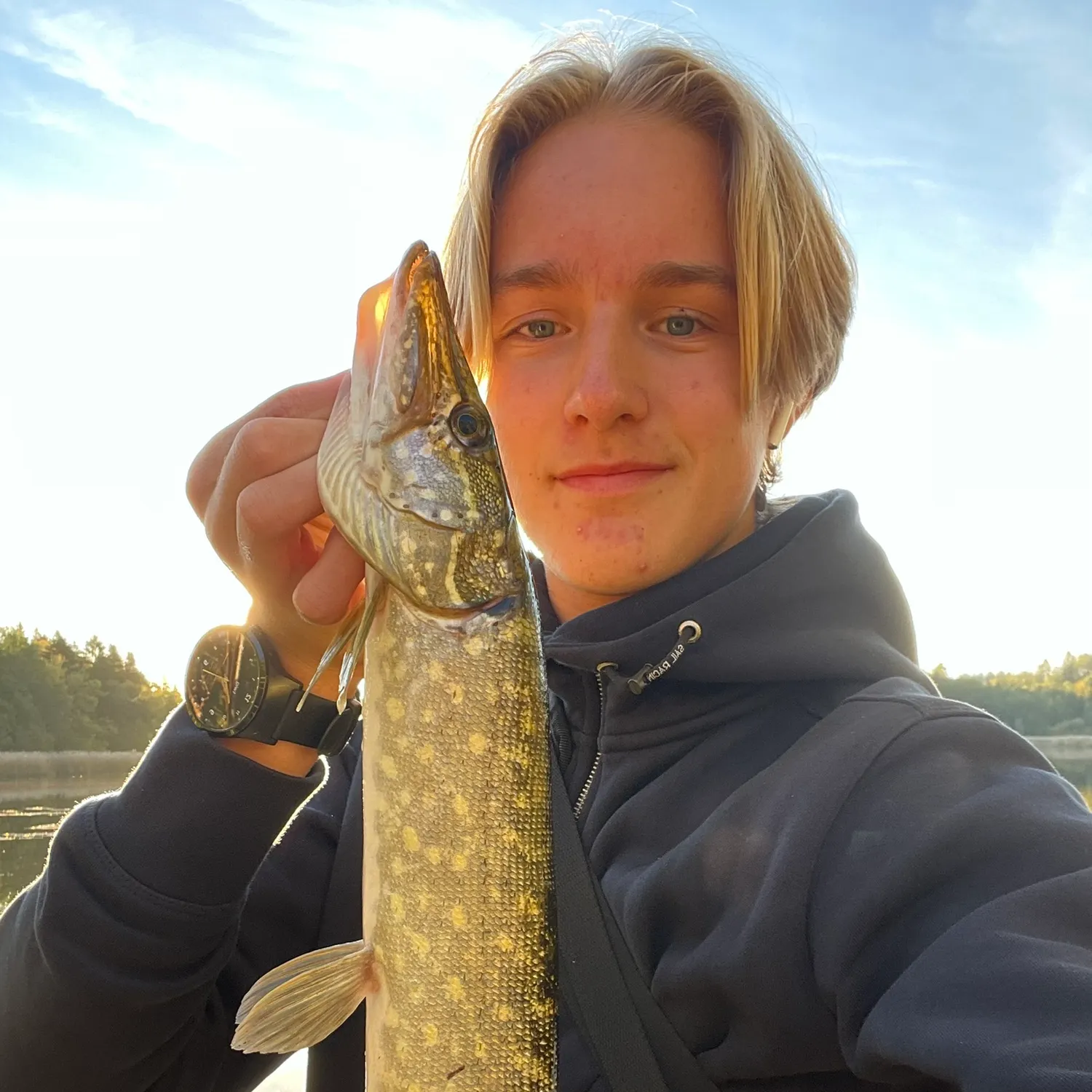 Northern pike caught on Fishbrain
