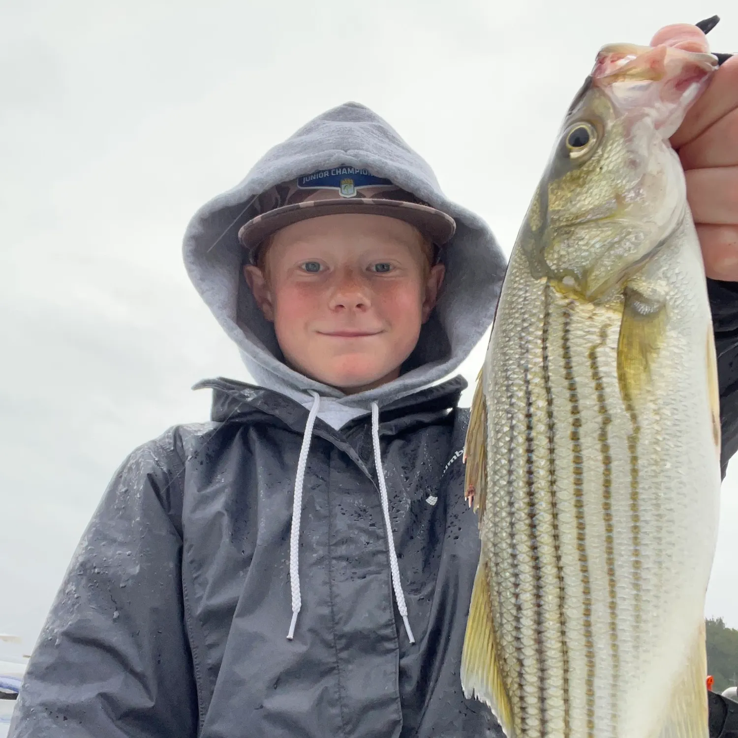 Striped bass caught on Fishbrain