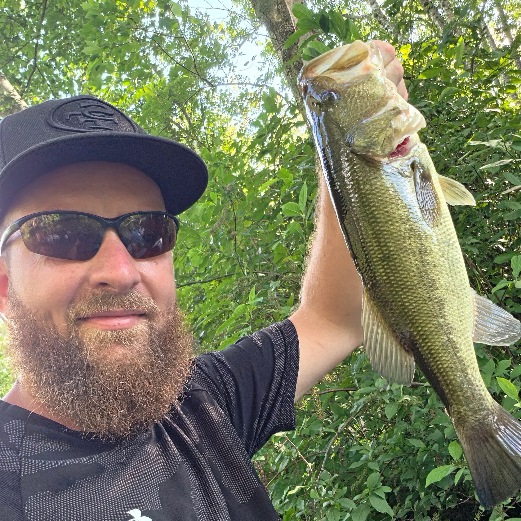 Largemouth bass caught on Fishbrain