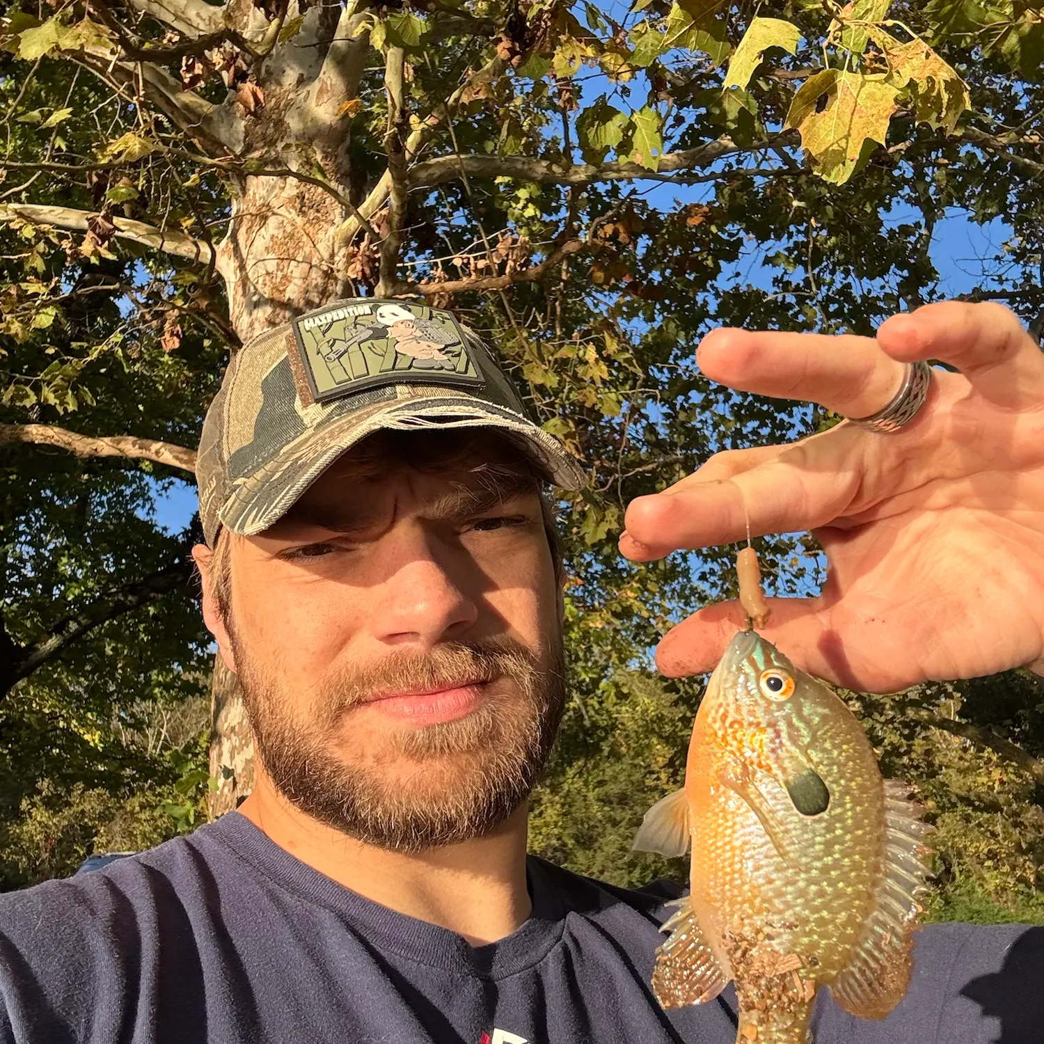 Longear sunfish caught on Fishbrain