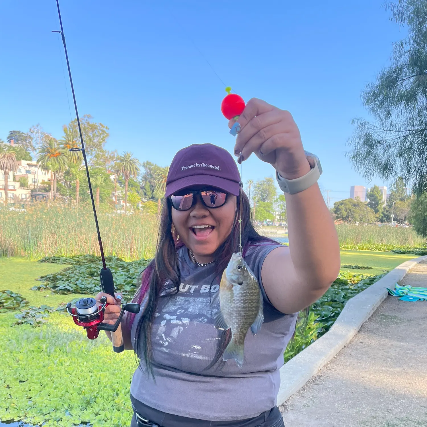 catch