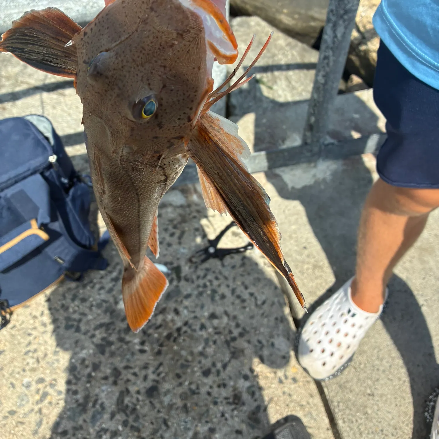 catch