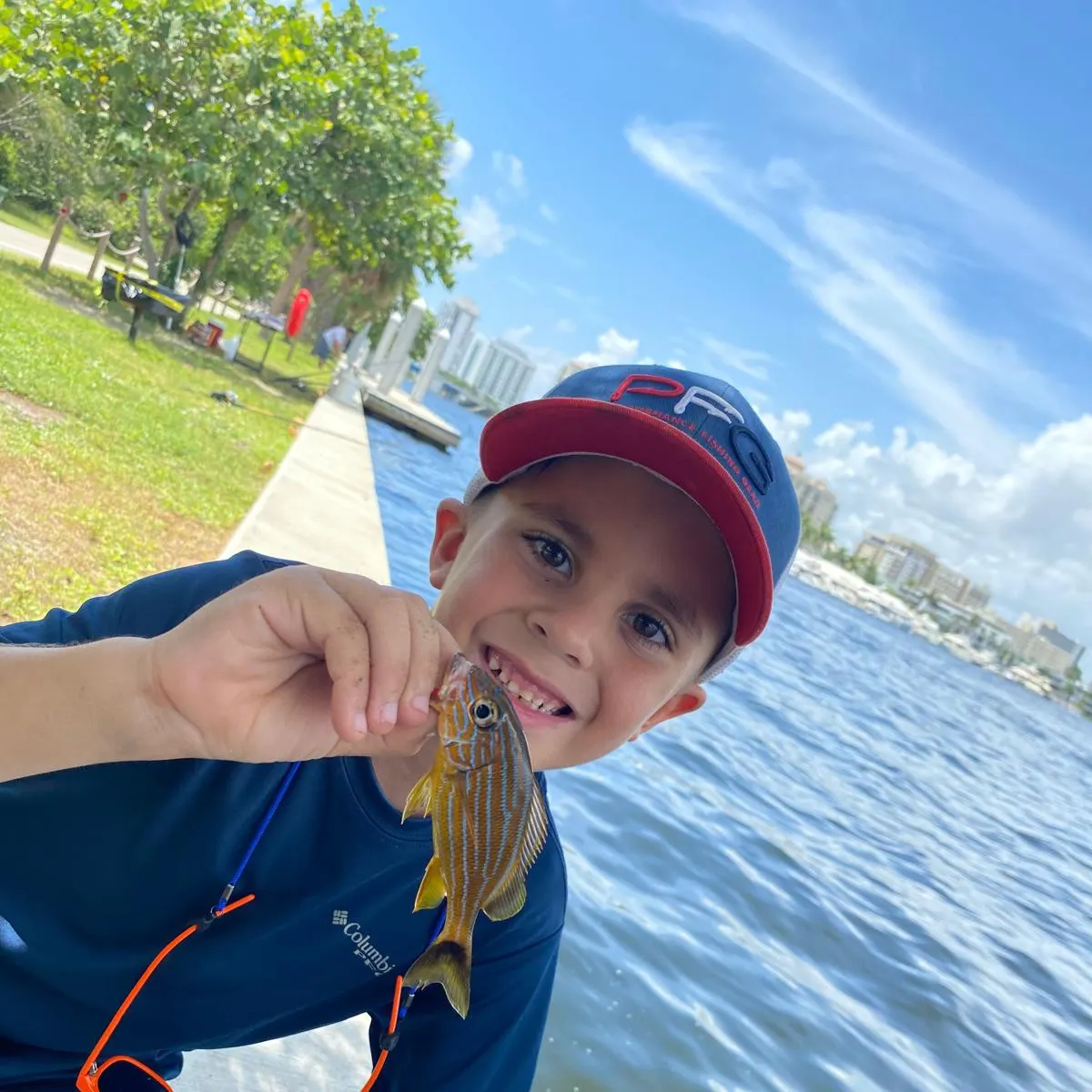 Bluestriped grunt caught on Fishbrain