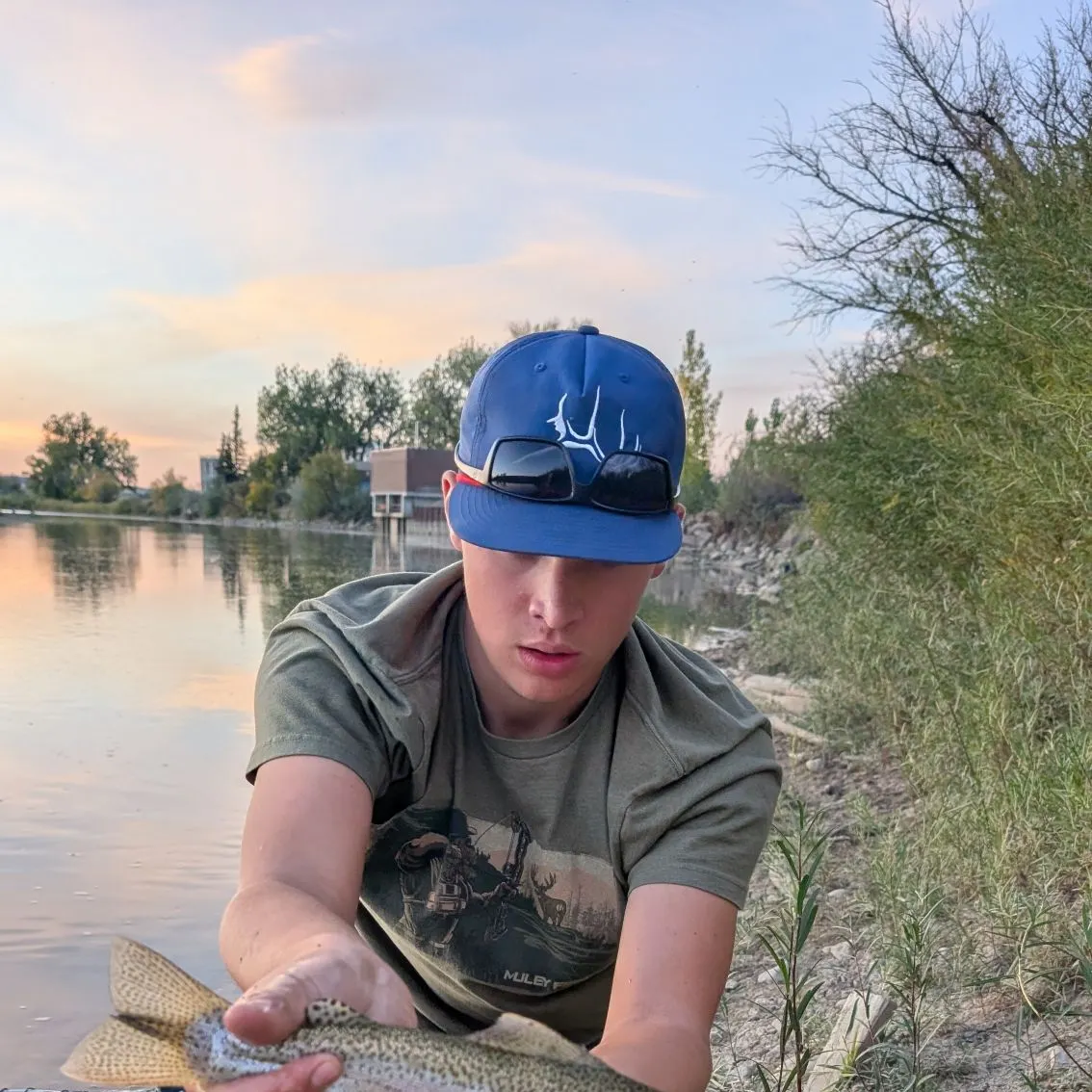Rainbow trout caught on Fishbrain