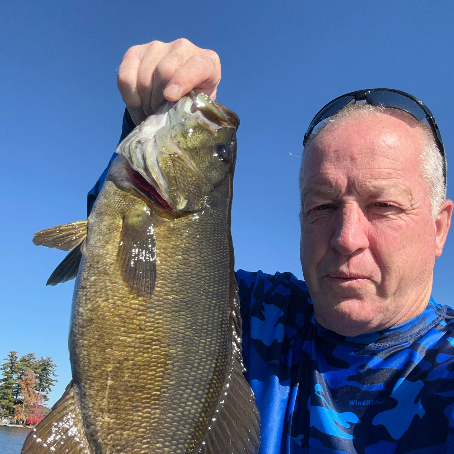 Smallmouth bass caught on Fishbrain