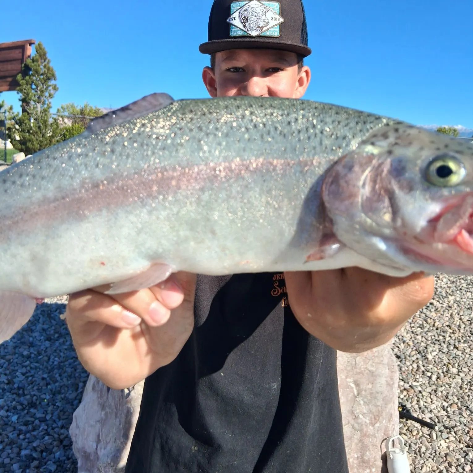 Rainbow trout caught on Fishbrain