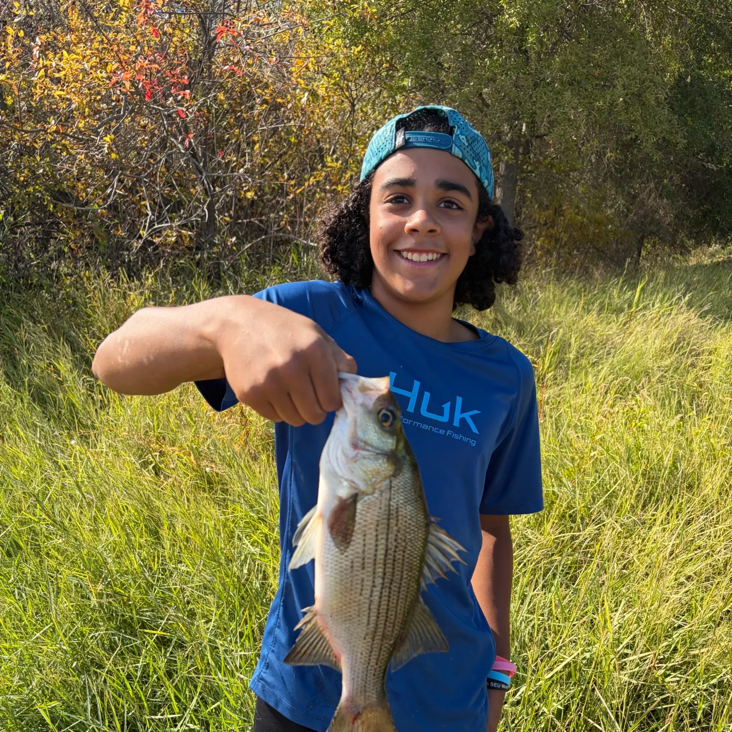 White bass caught on Fishbrain
