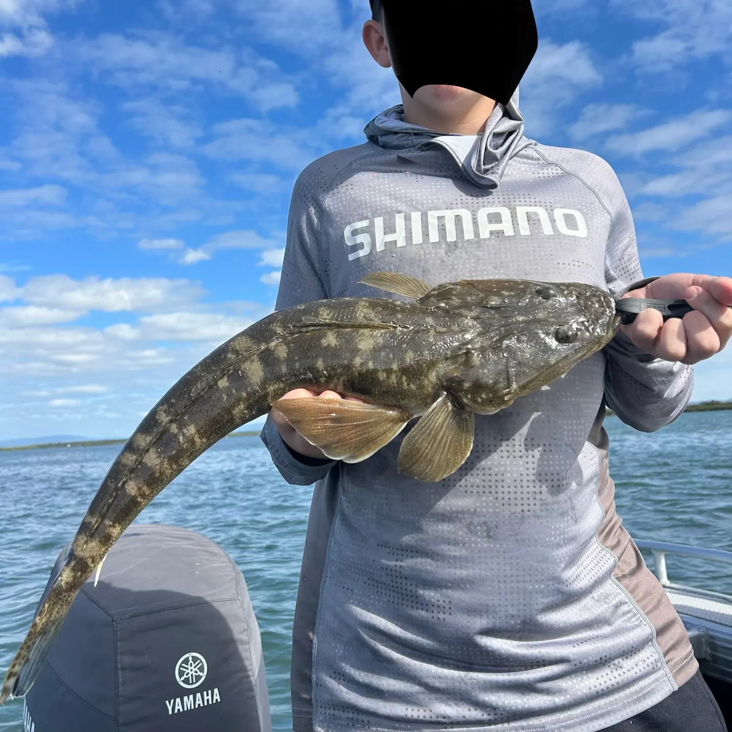 Dusky flathead caught on Fishbrain