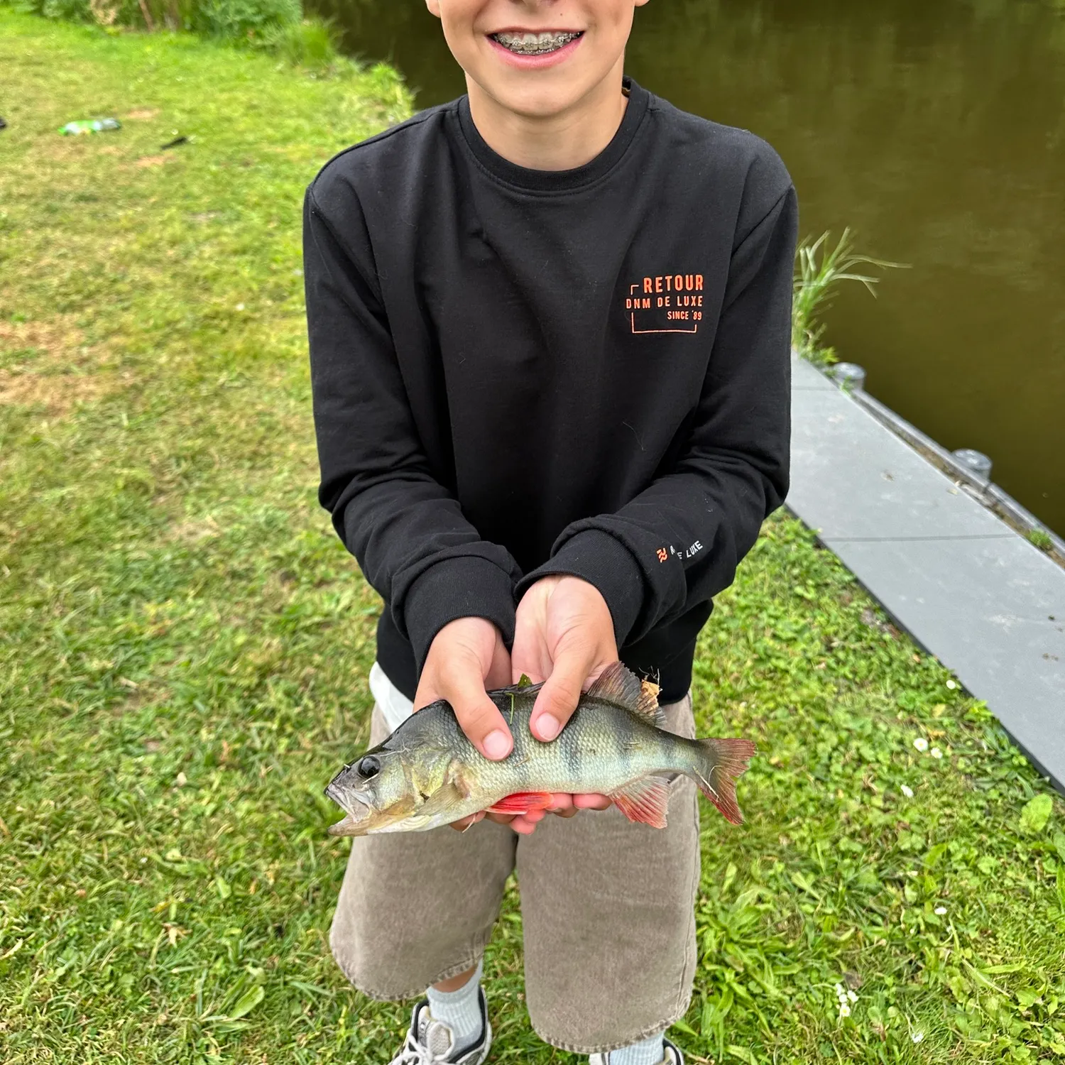 European perch caught on Fishbrain
