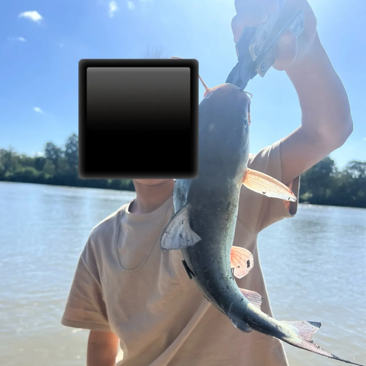 The most recent Blue salmon catfish catches on Fishbrain