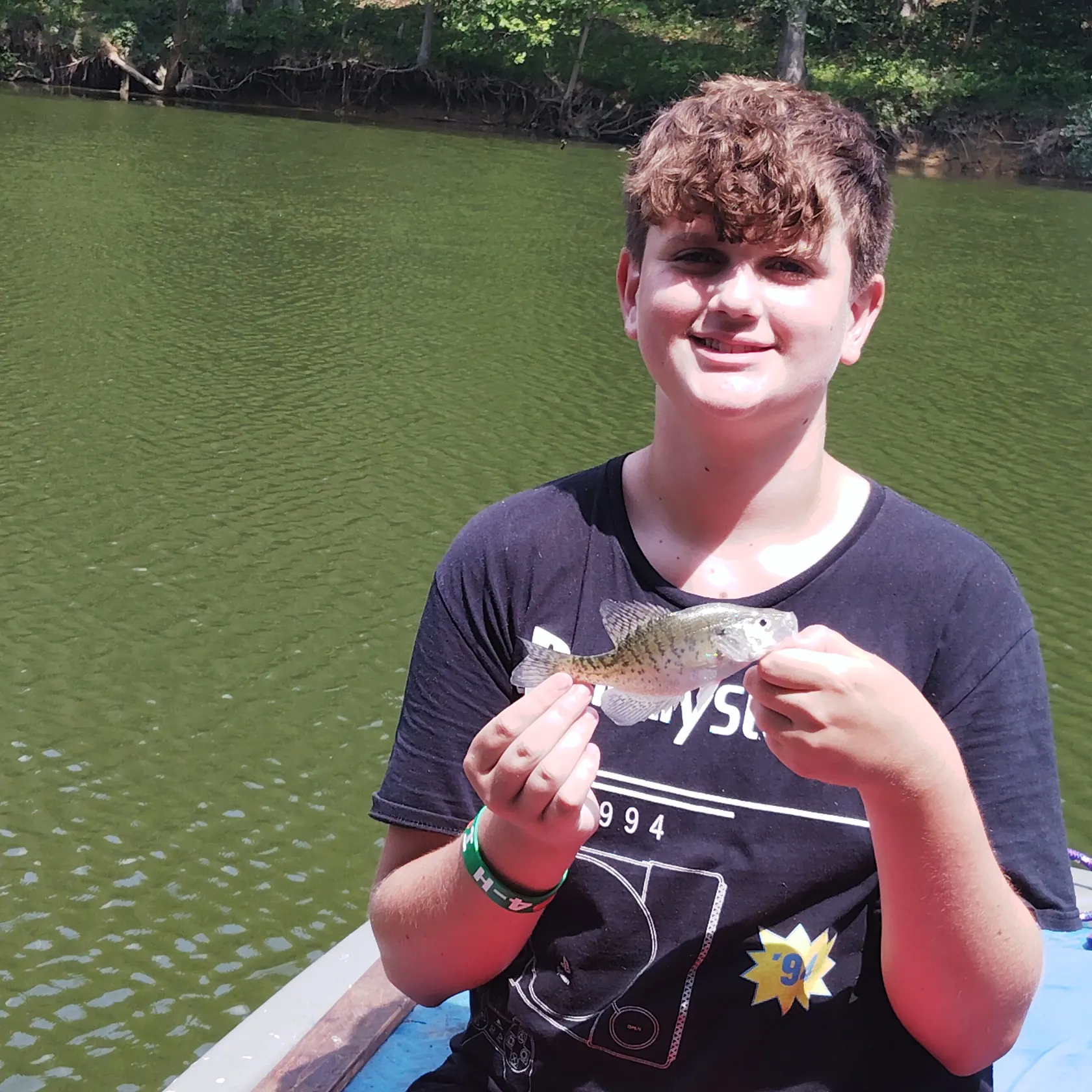 The most recent White crappie catches on Fishbrain