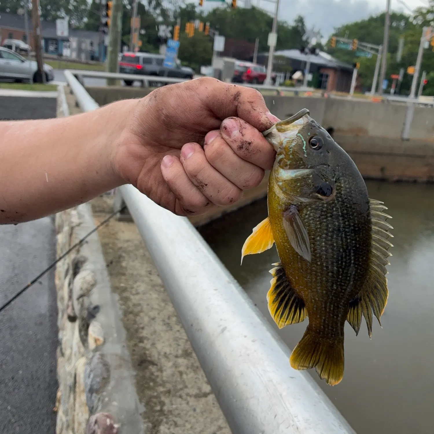 catch
