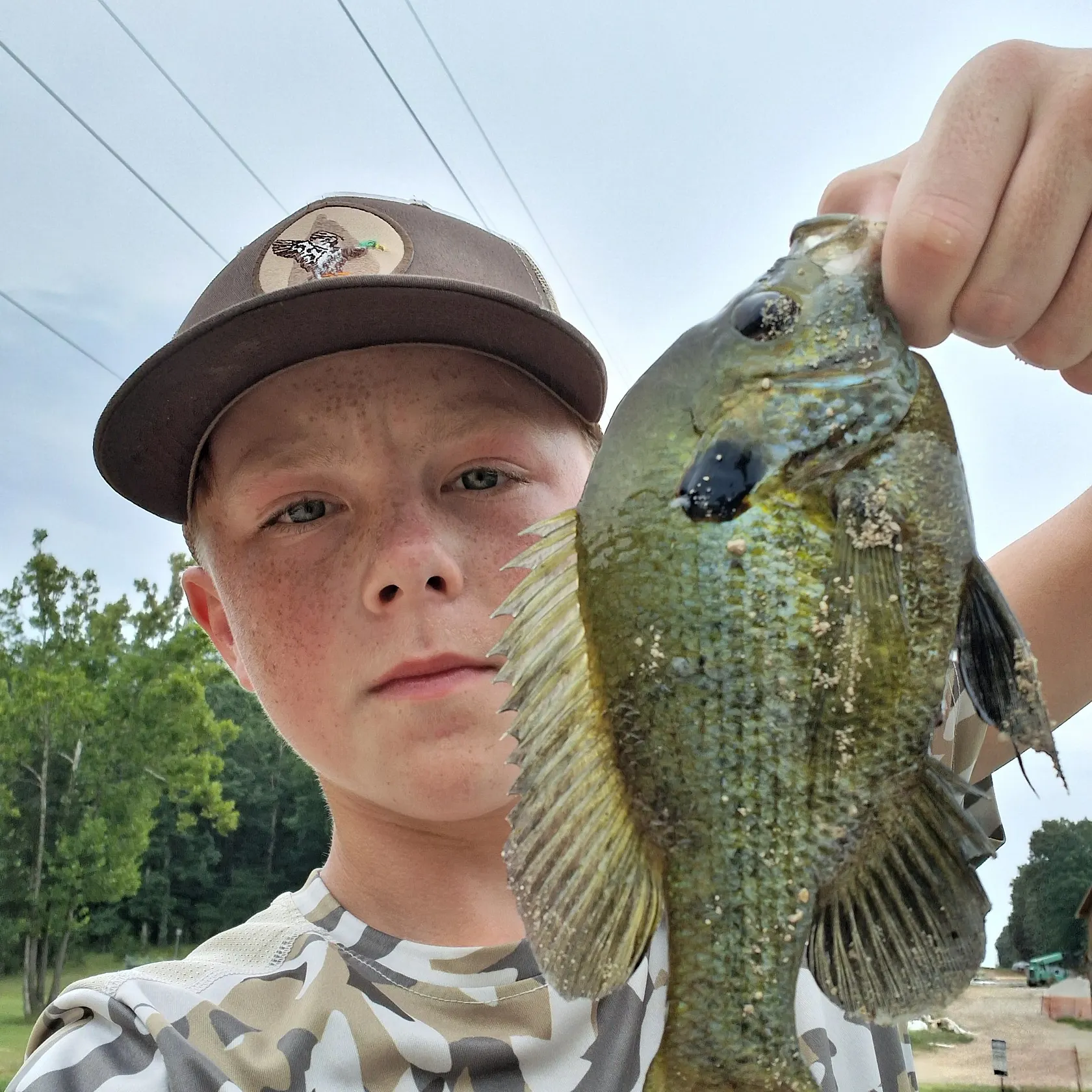 The most recent Bluegill x longear sunfish catches on Fishbrain