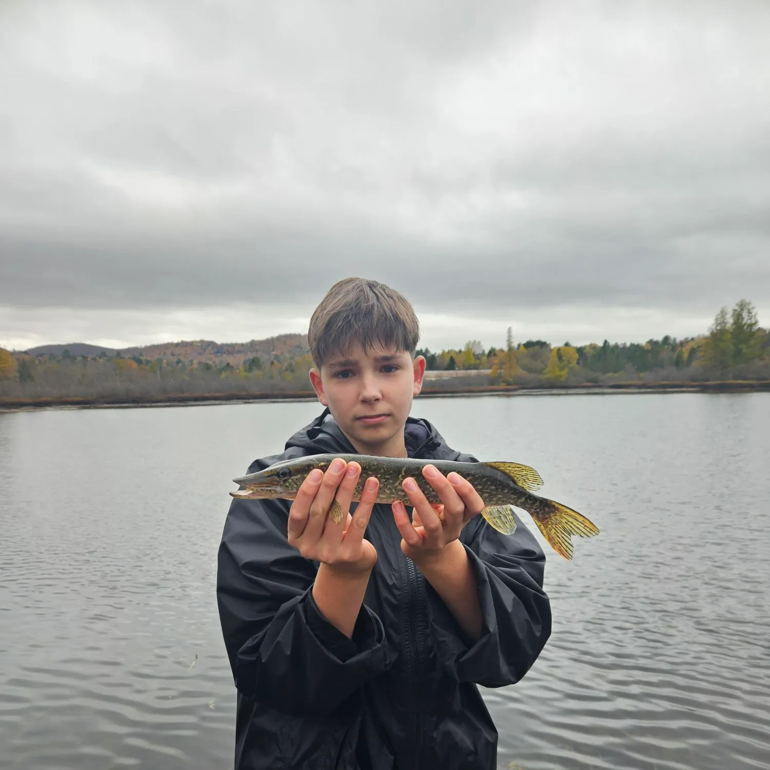 Northern pike caught on Fishbrain