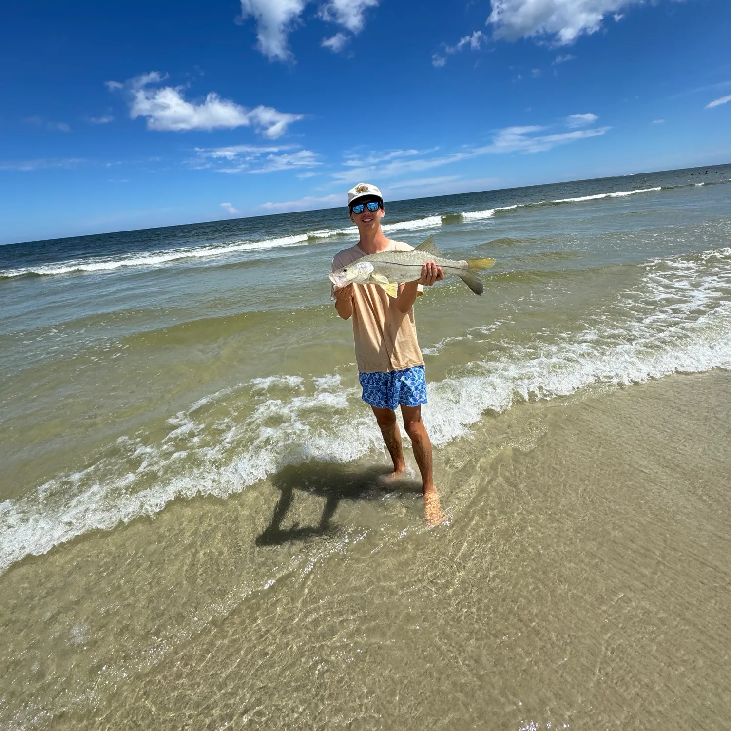 Common snook caught on Fishbrain