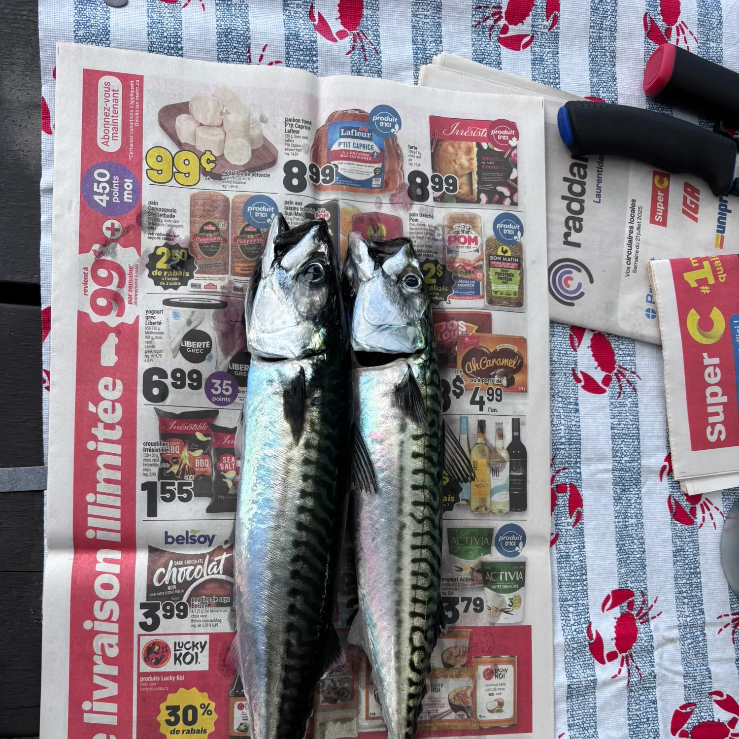 recently logged catches