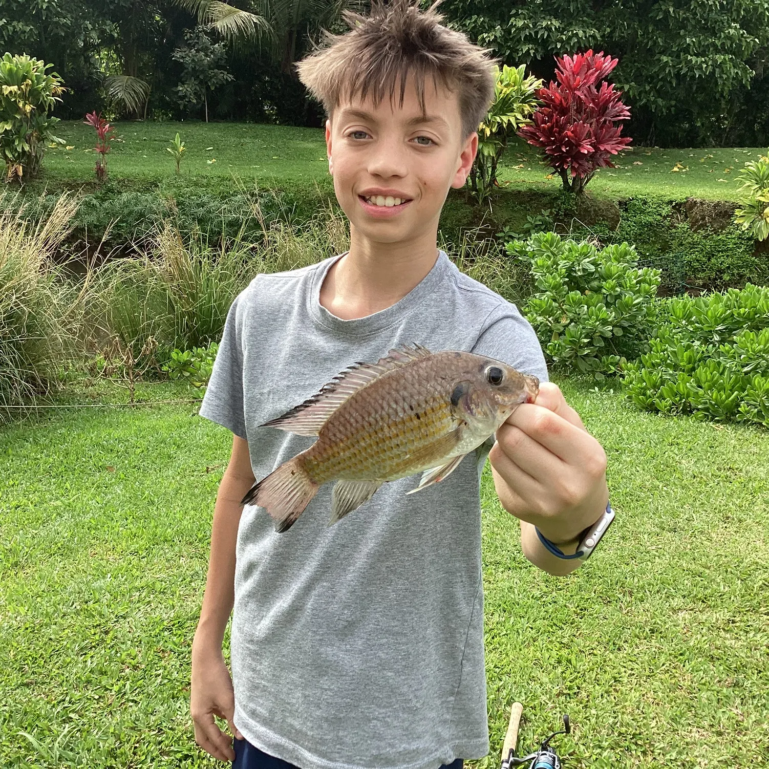 The most recent Blackchin tilapia catches on Fishbrain