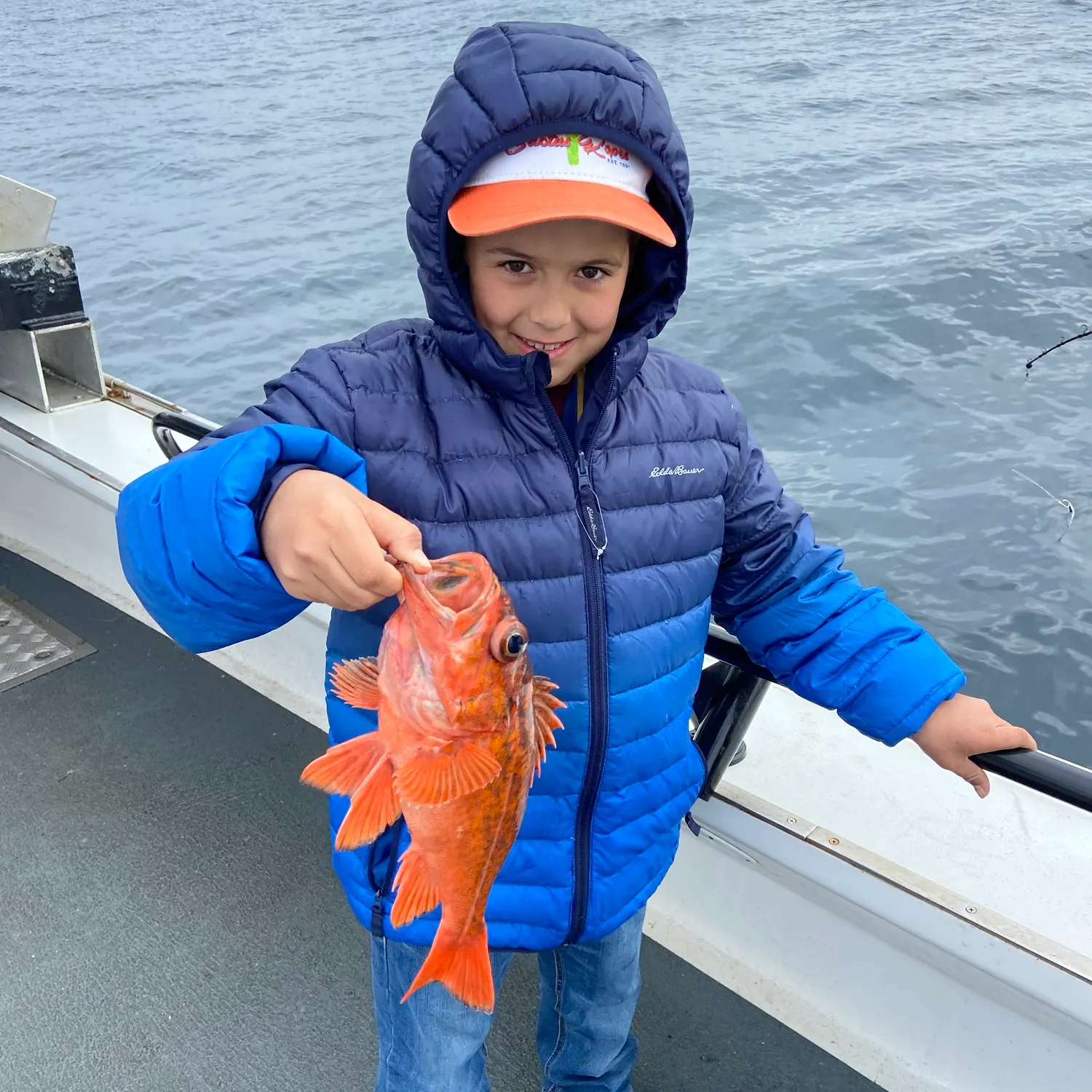 The most recent Vermilion rockfish catches on Fishbrain