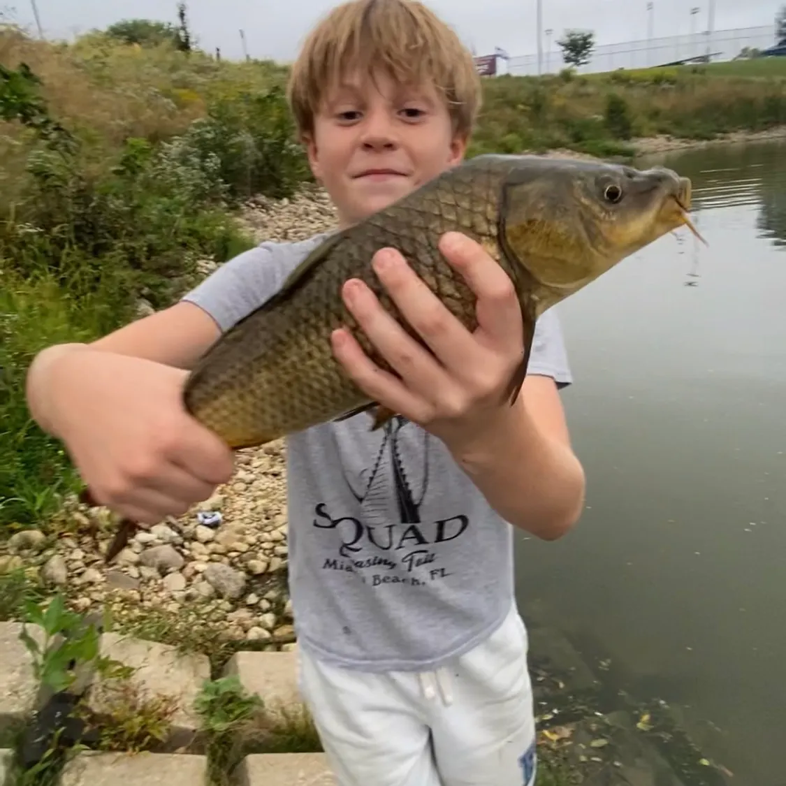 Common carp caught on Fishbrain