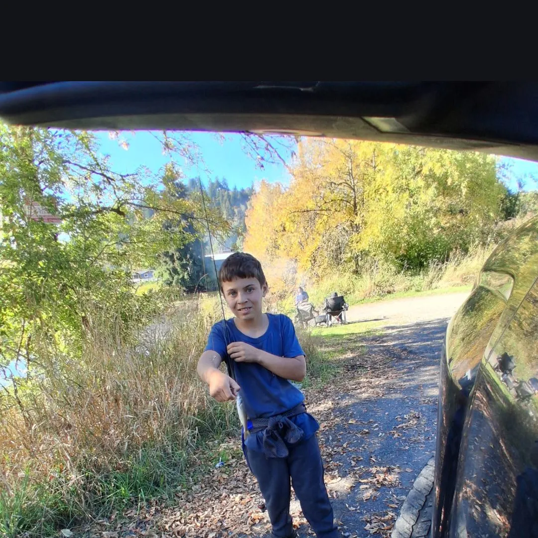 The most recent Peamouth catches on Fishbrain