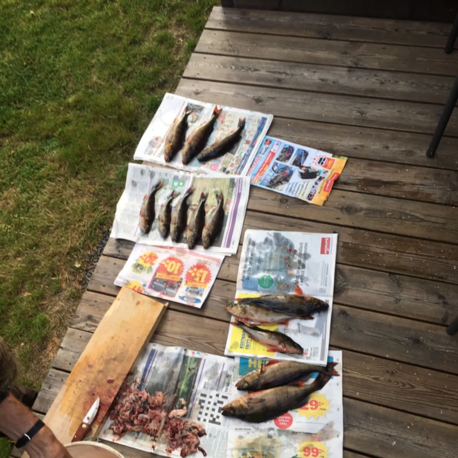 recently logged catches