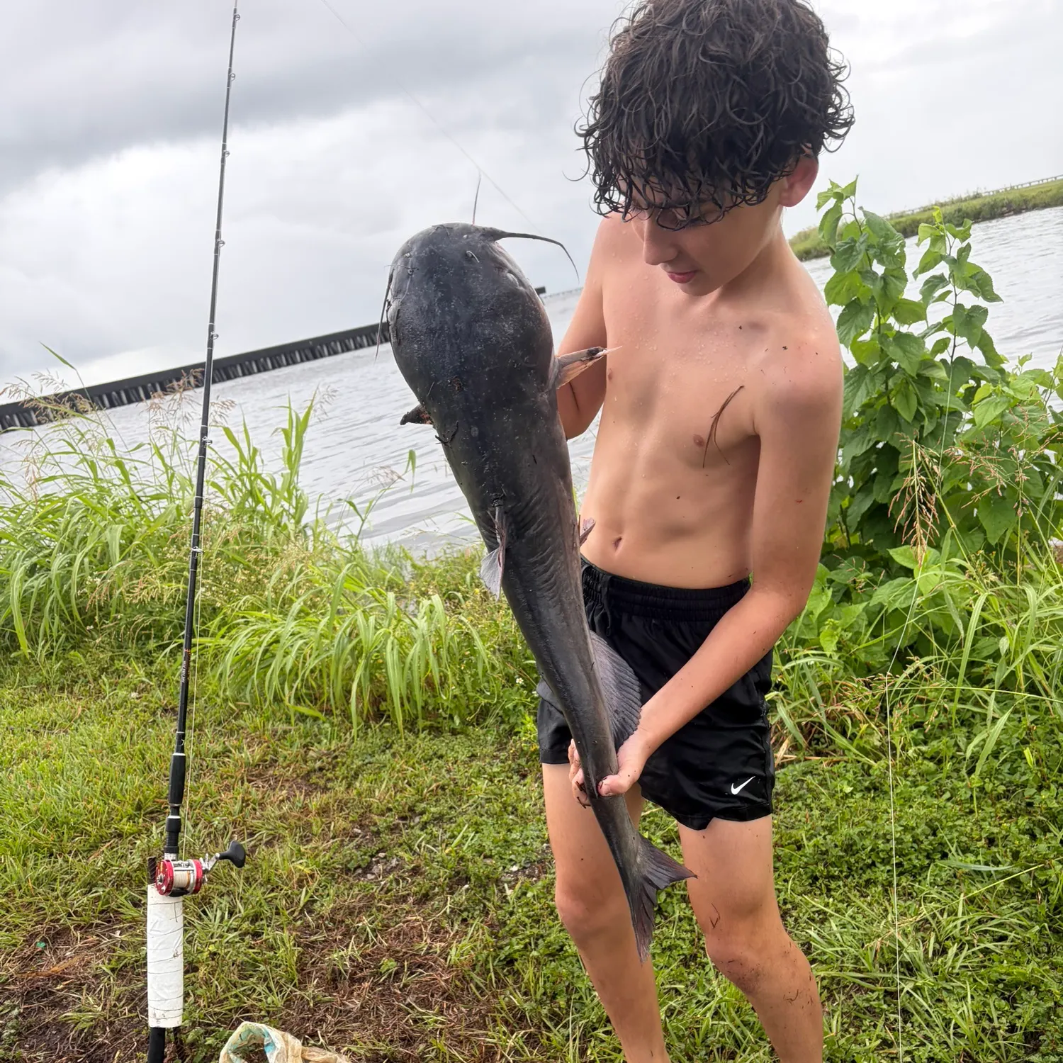 Blue catfish caught on Fishbrain